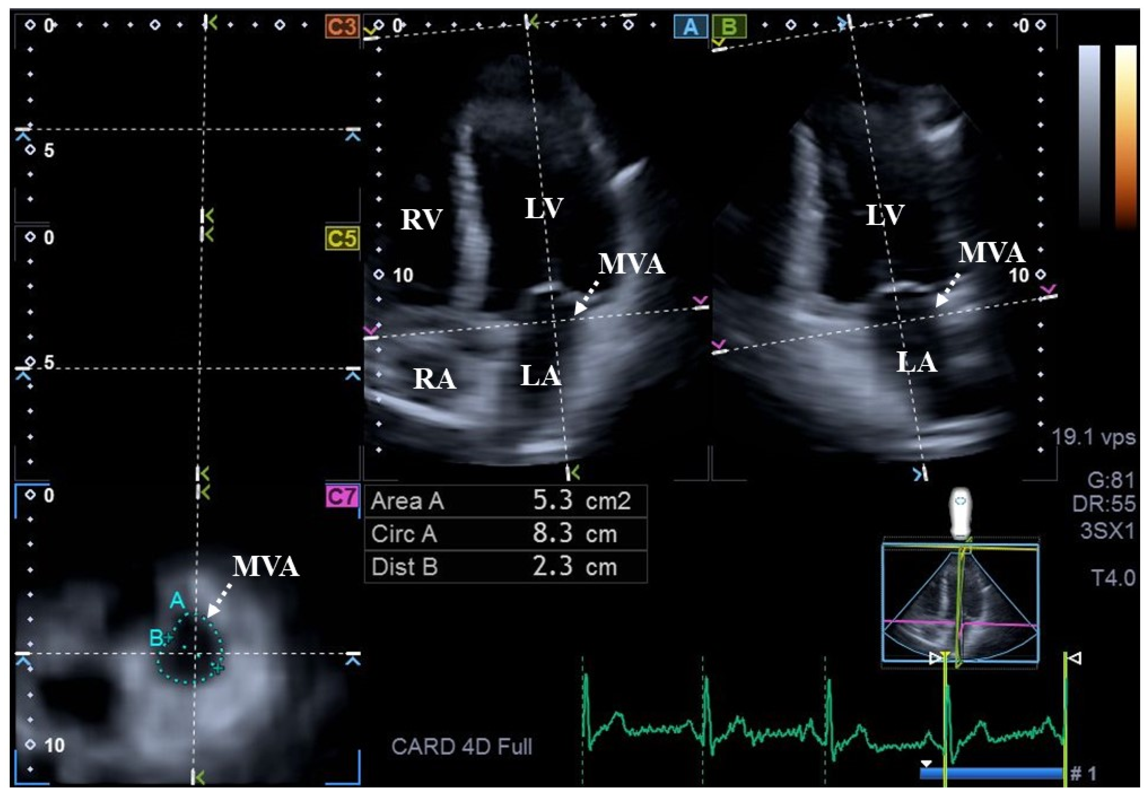 Biomedicines 14 00304 g001 Biomedicines 14 00304 g001