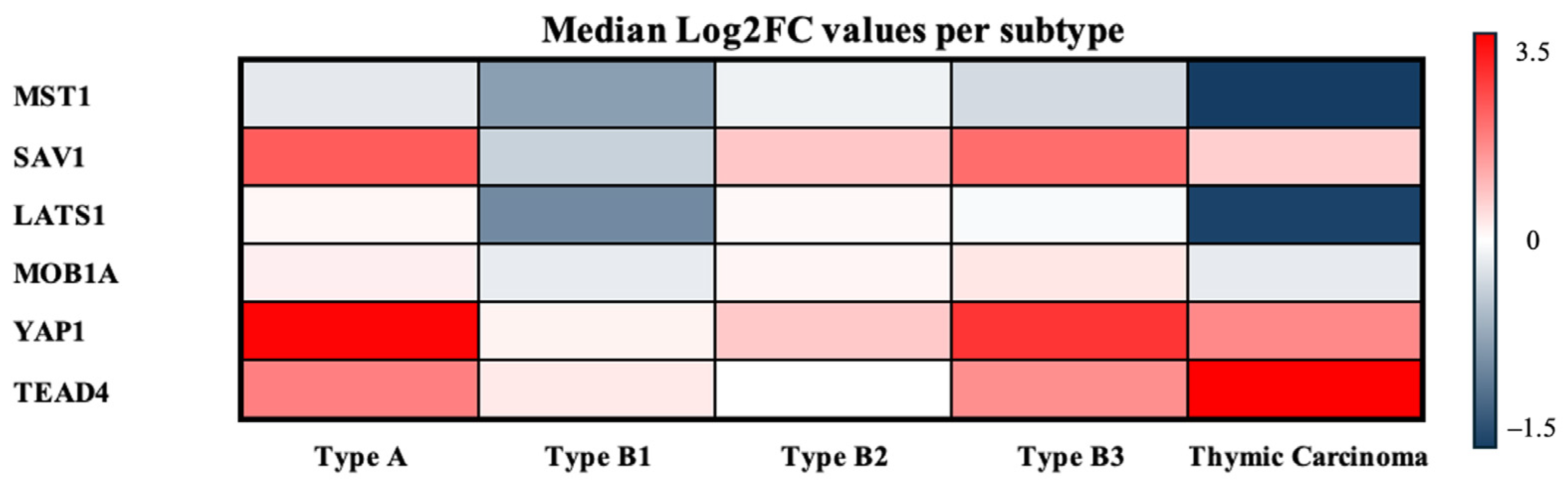 Biomedicines 14 00305 g007