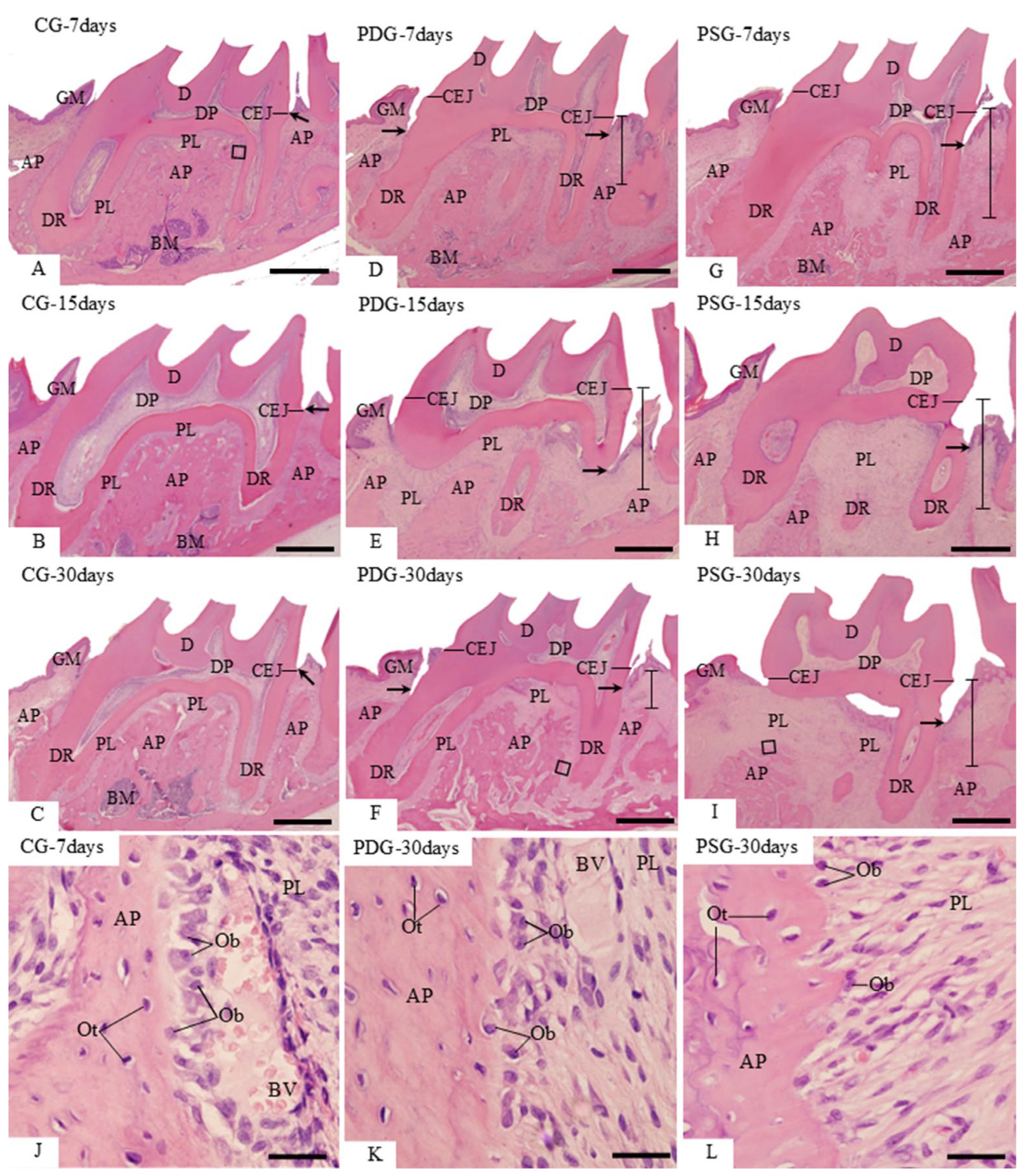 Biomedicines 14 00306 g001