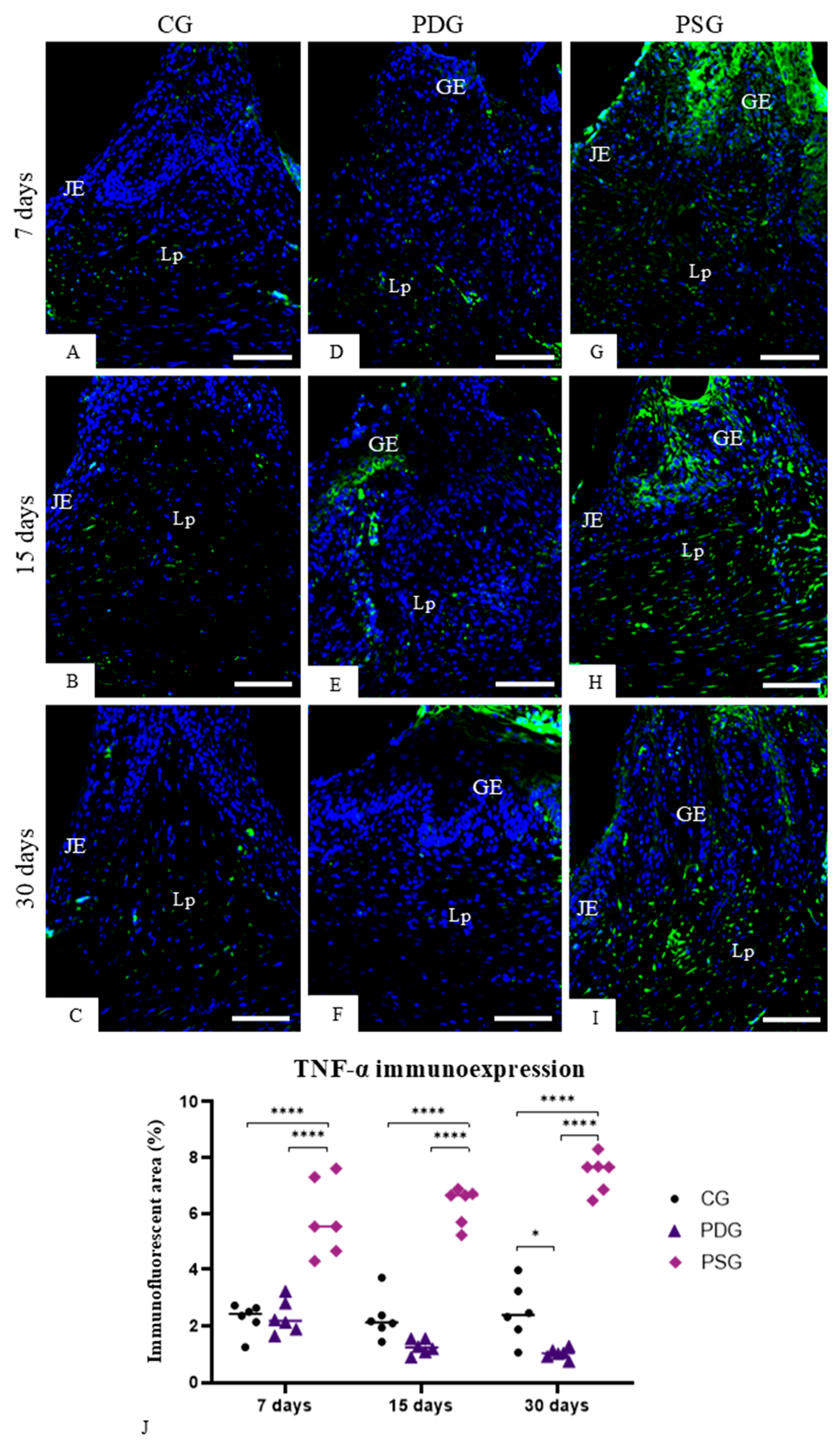 Biomedicines 14 00306 g002