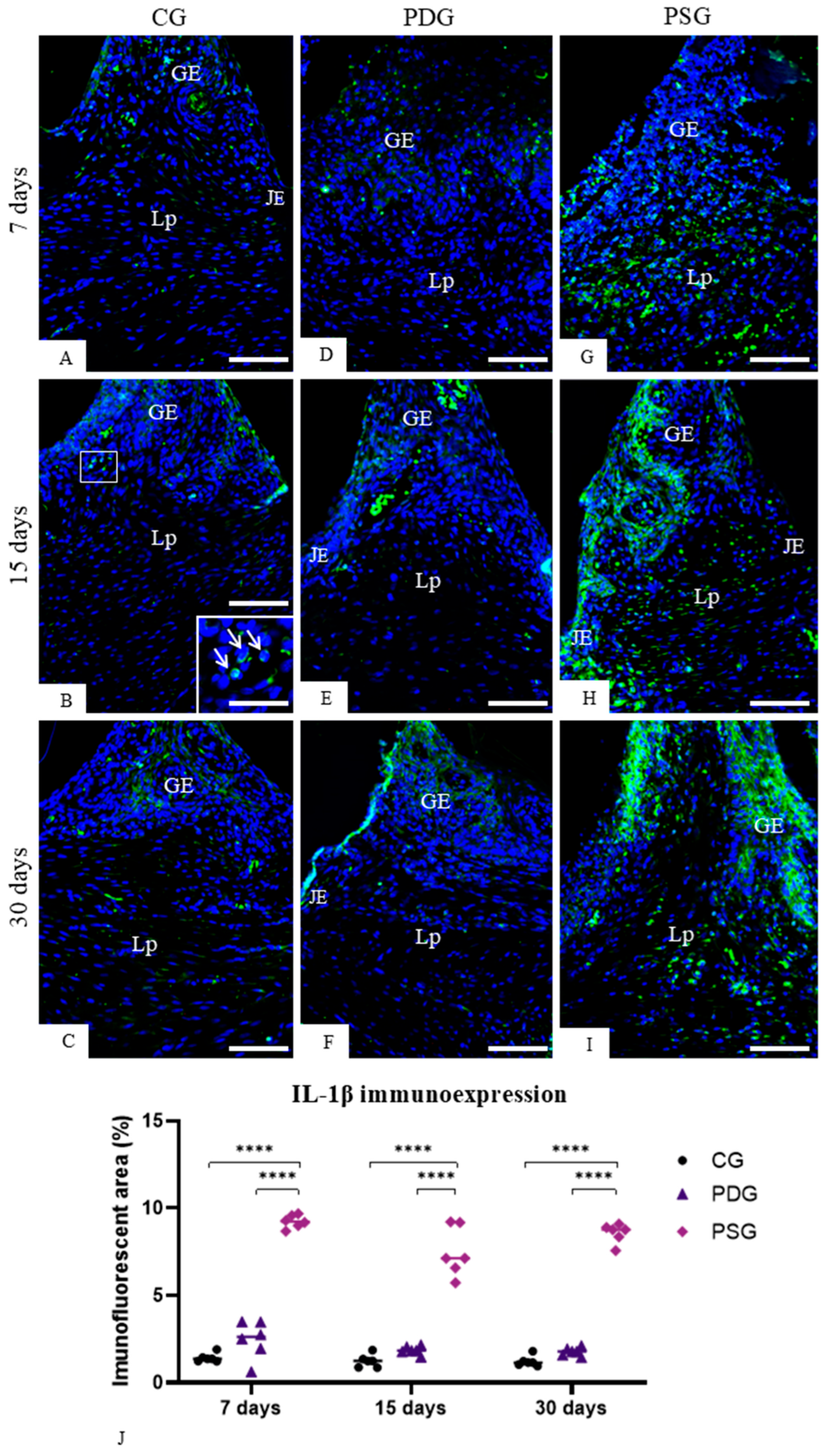 Biomedicines 14 00306 g003