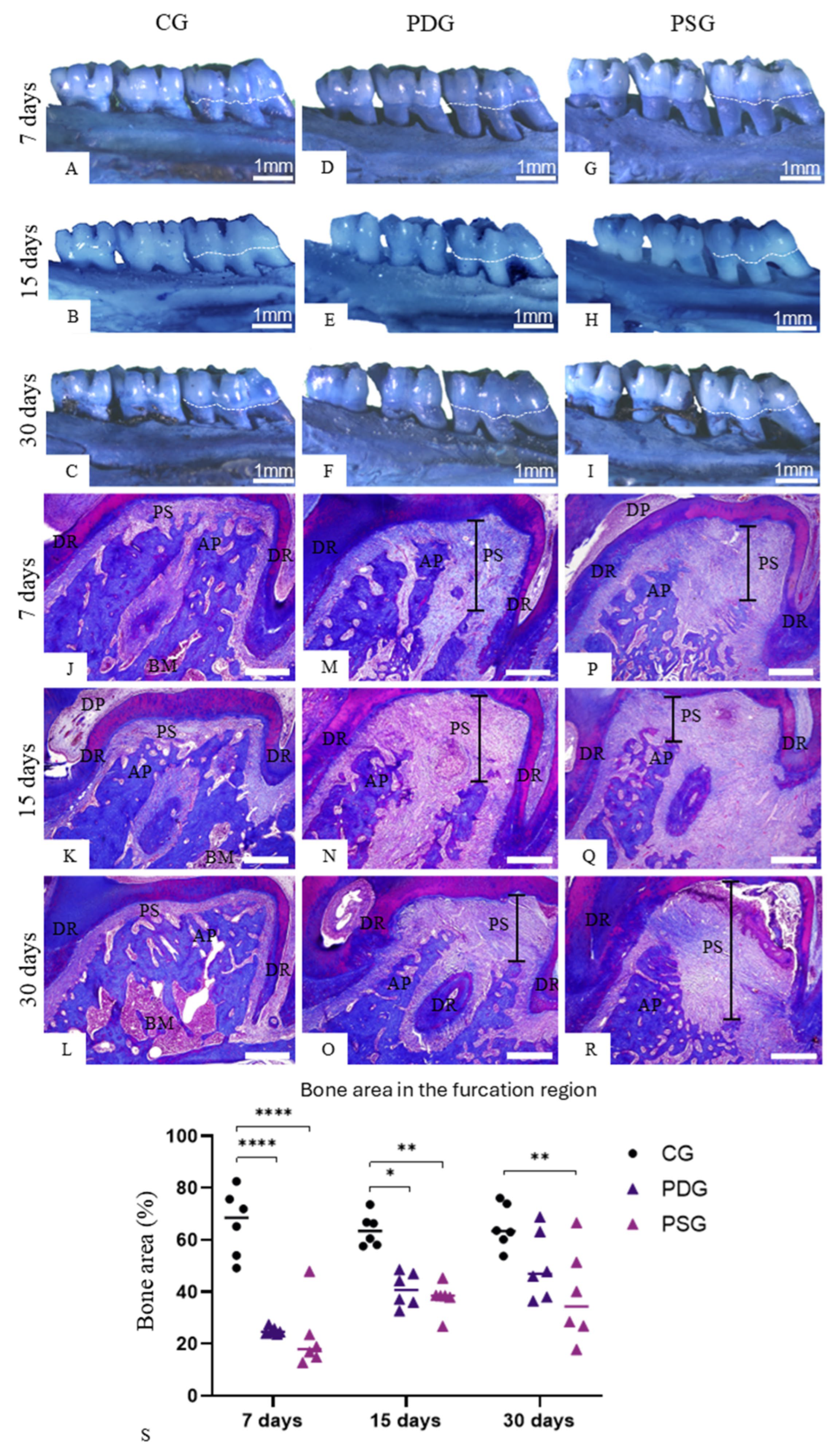 Biomedicines 14 00306 g004