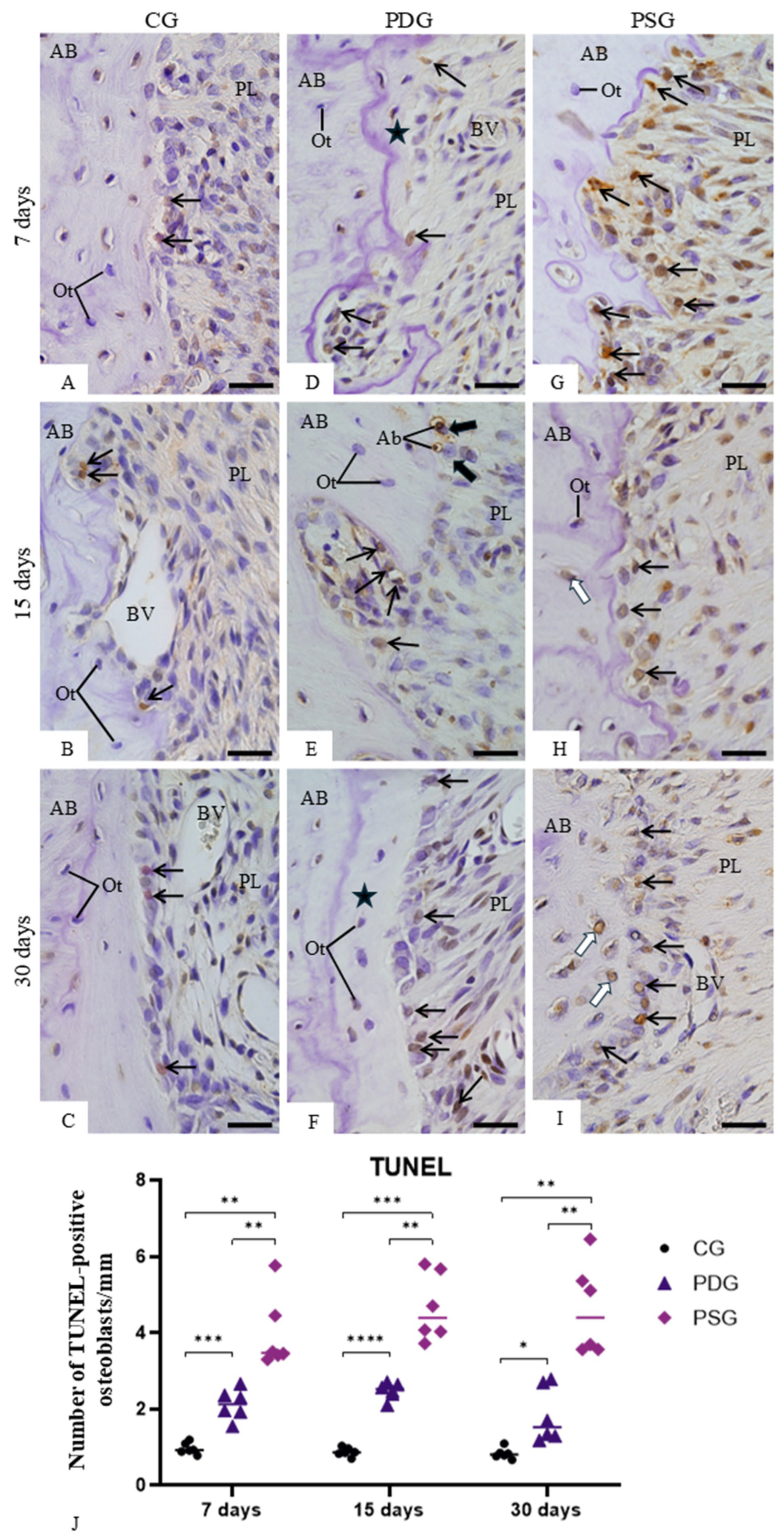 Biomedicines 14 00306 g007