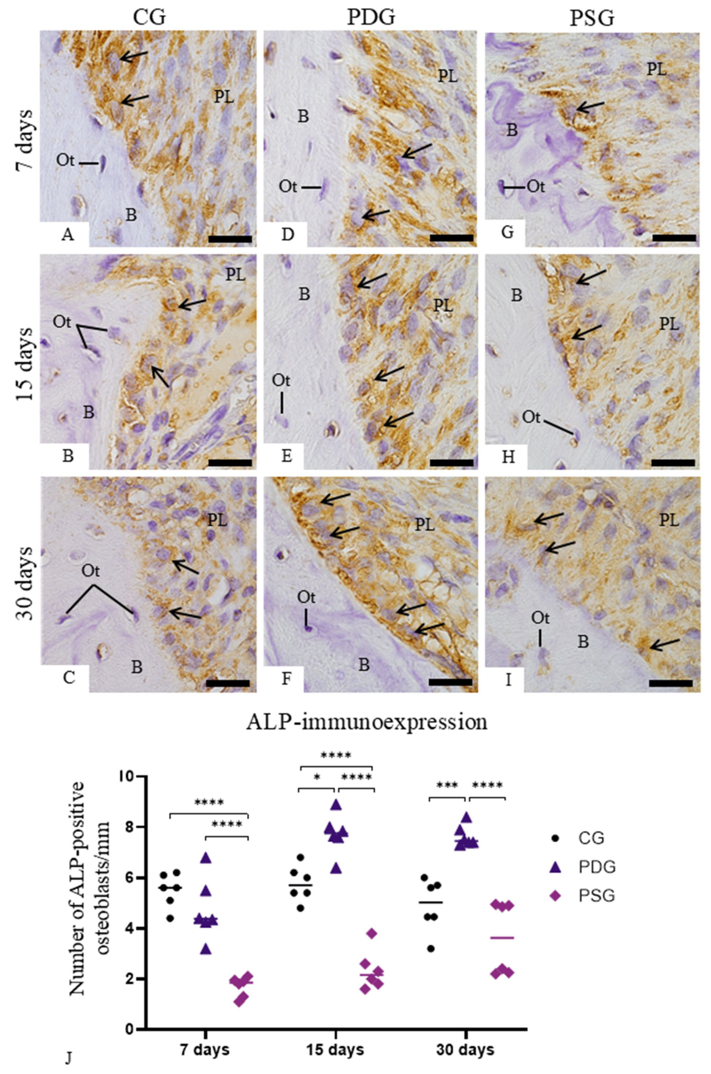 Biomedicines 14 00306 g008