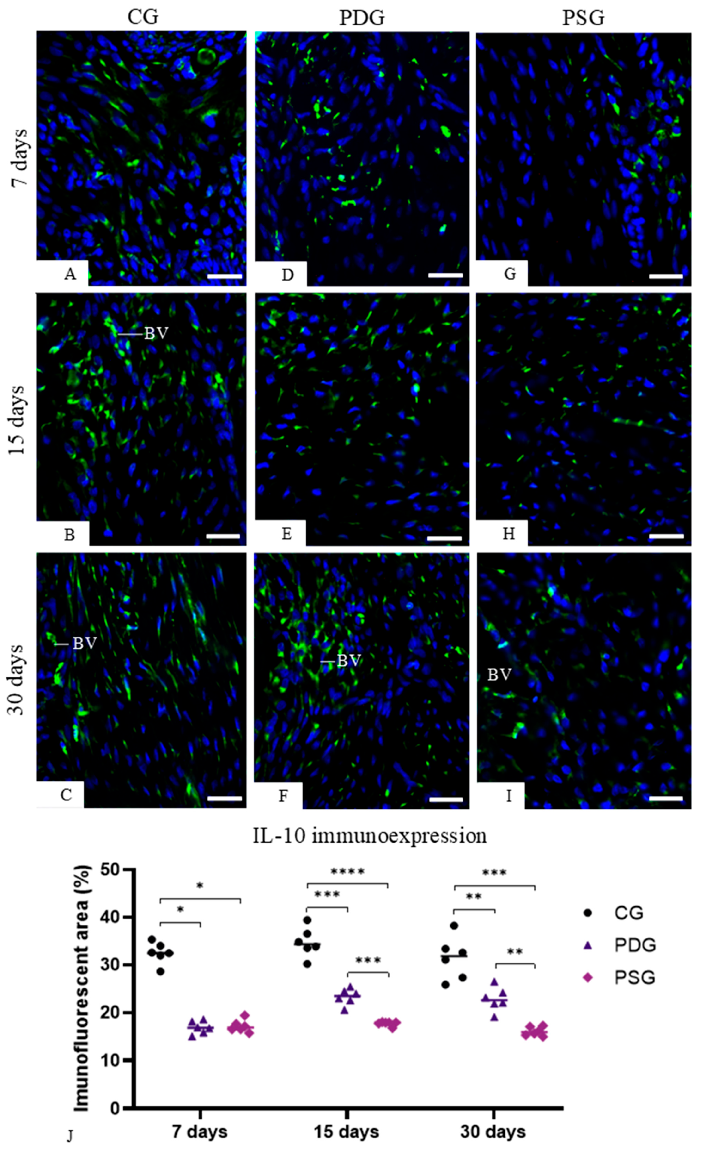 Biomedicines 14 00306 g010