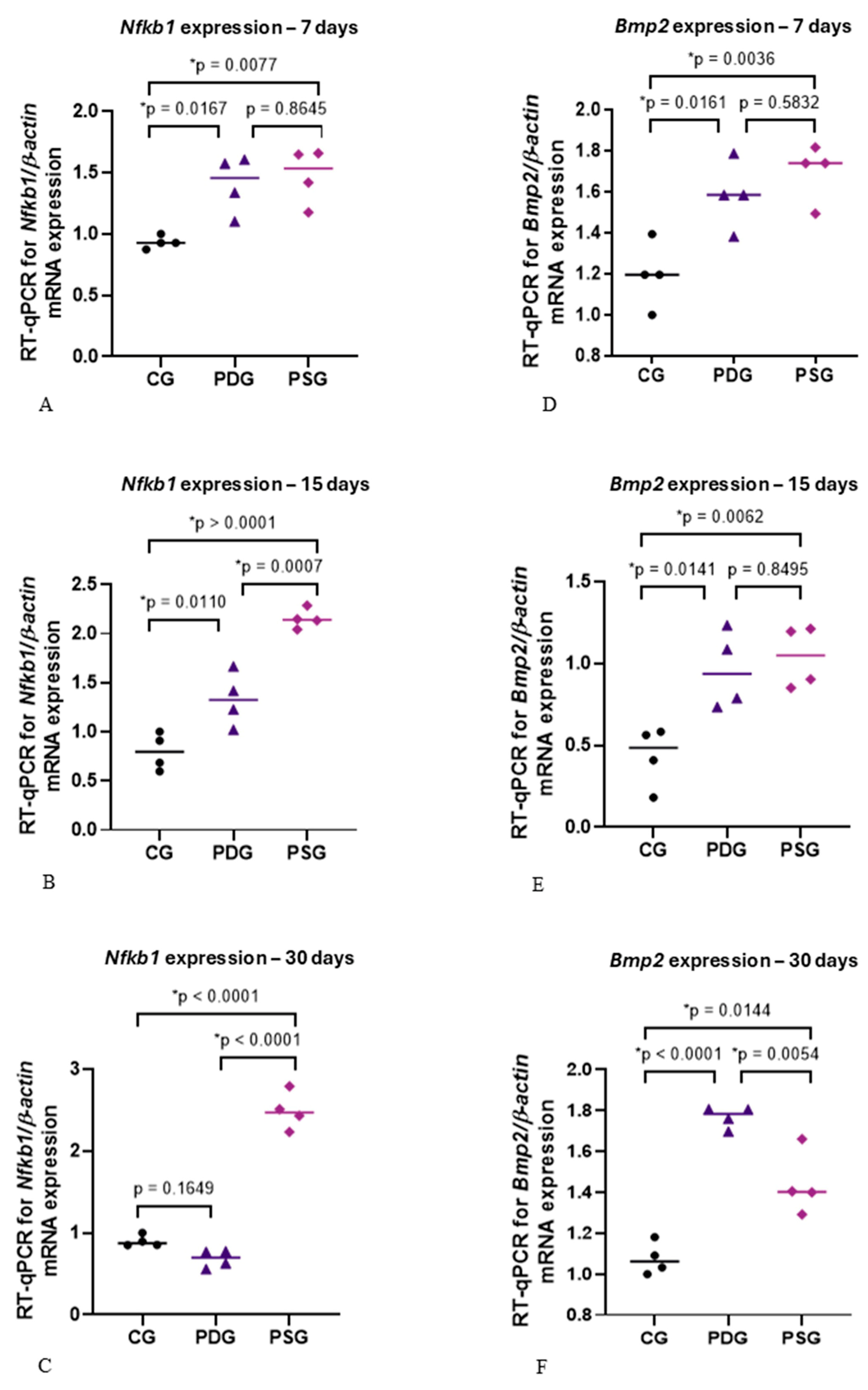 Biomedicines 14 00306 g011