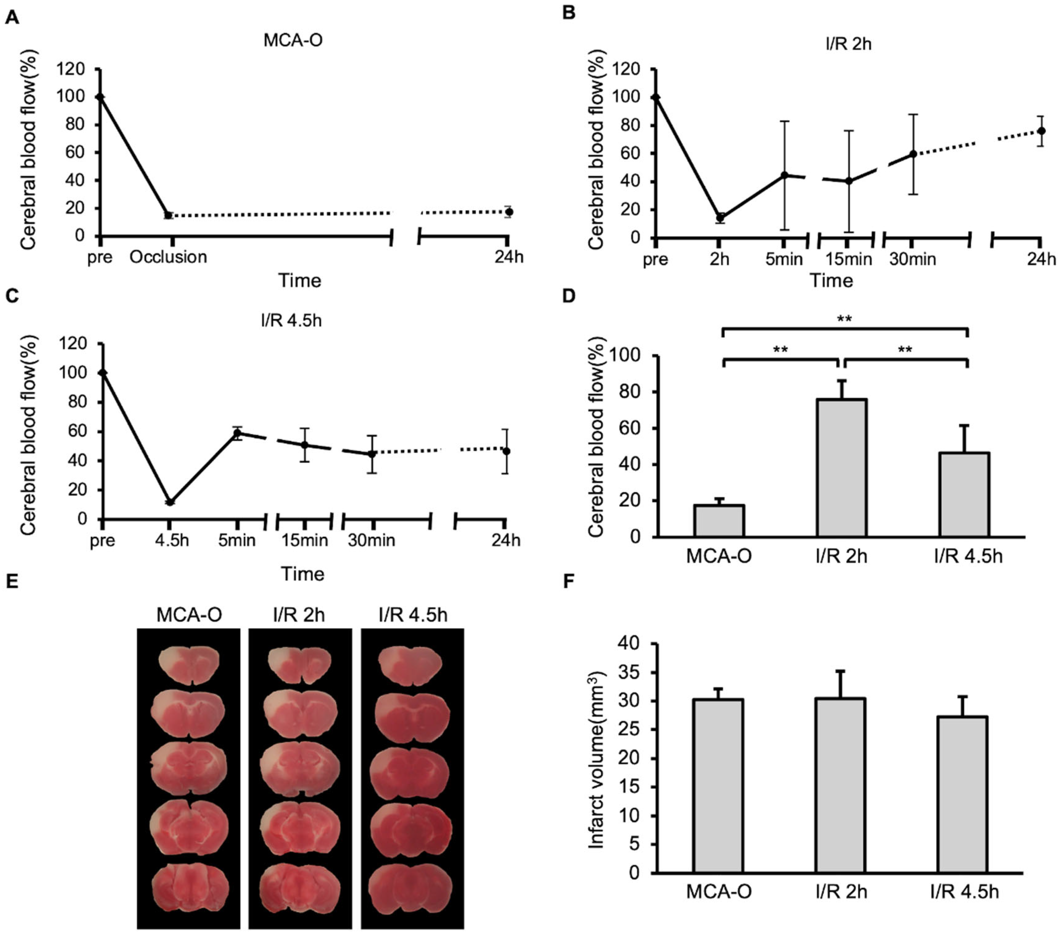 Biomedicines 14 00308 g001