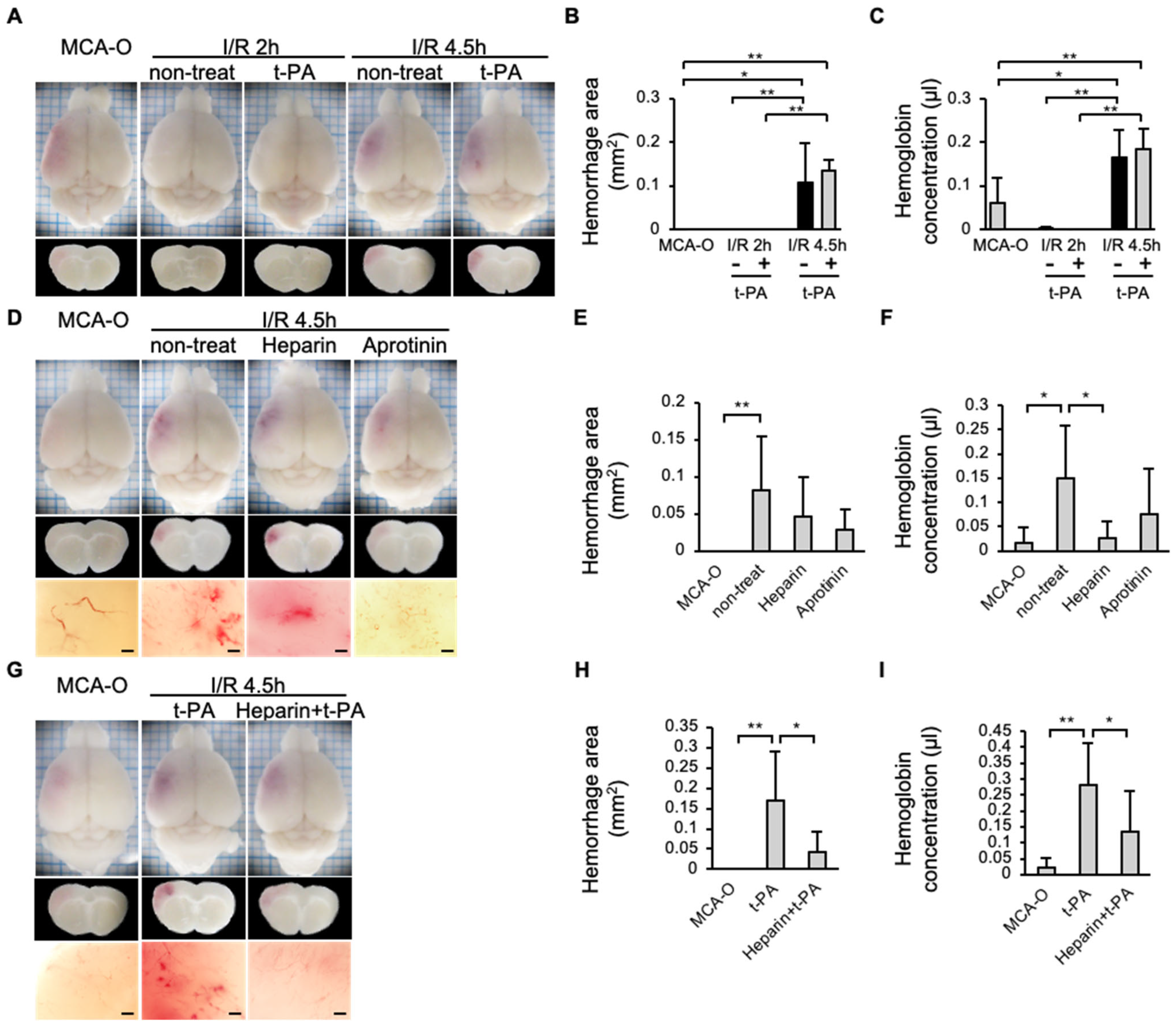 Biomedicines 14 00308 g005