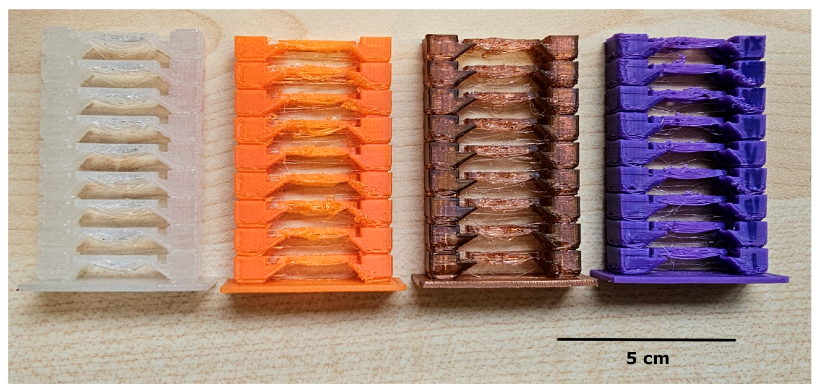 Biomedicines 14 00323 g001