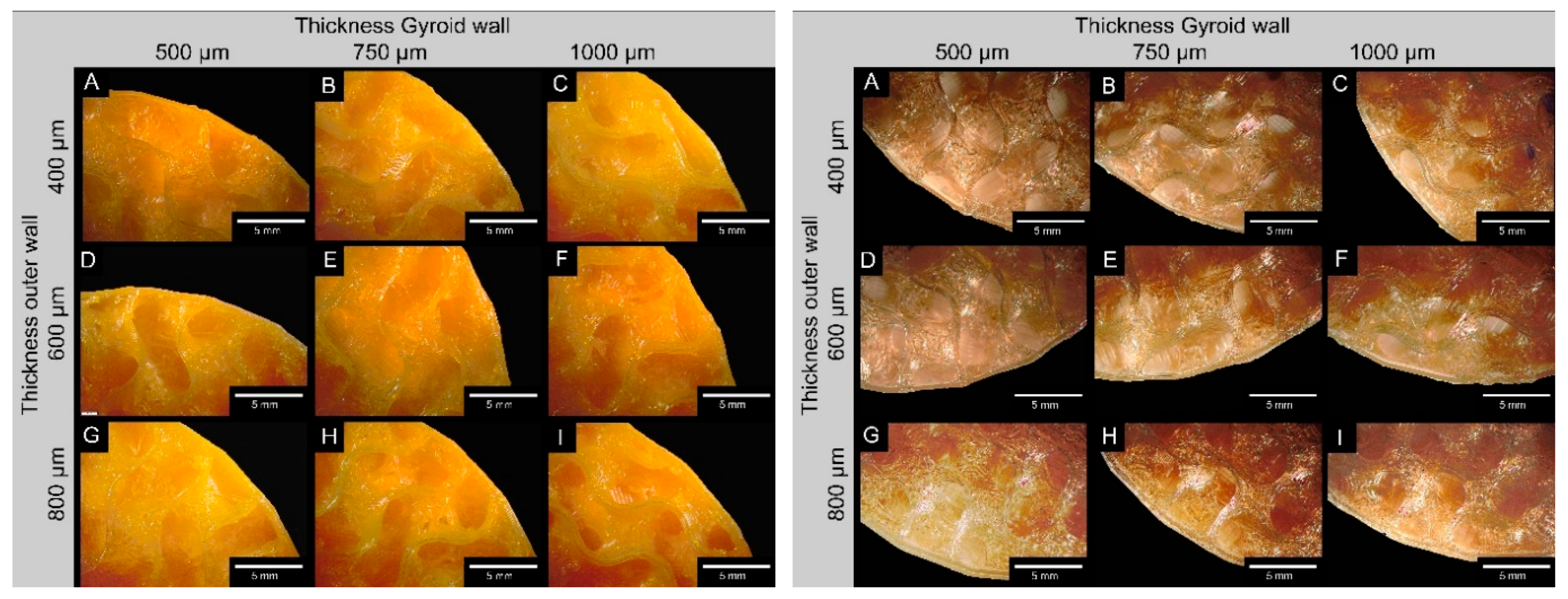 Biomedicines 14 00323 g002