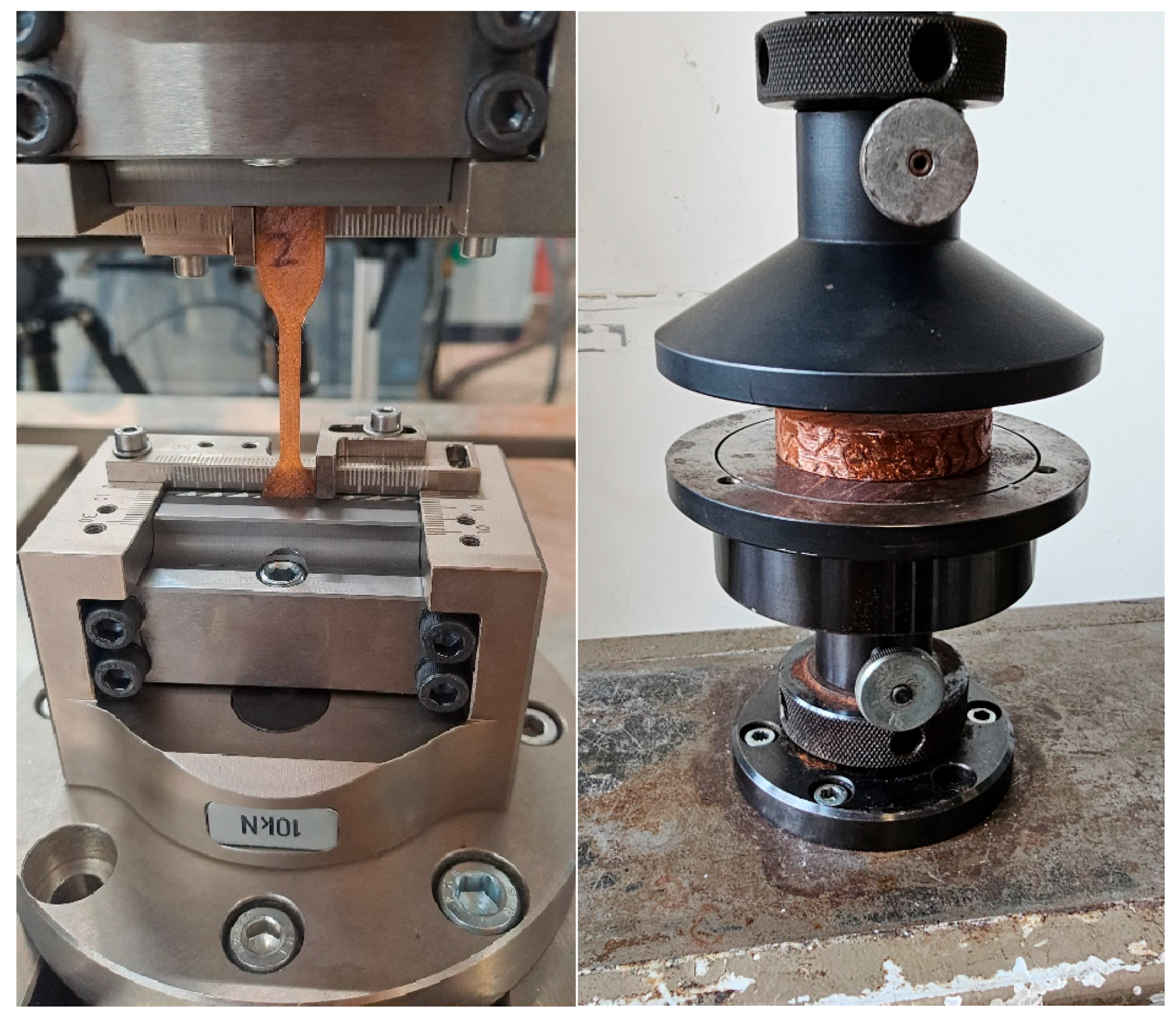 Biomedicines 14 00323 g003