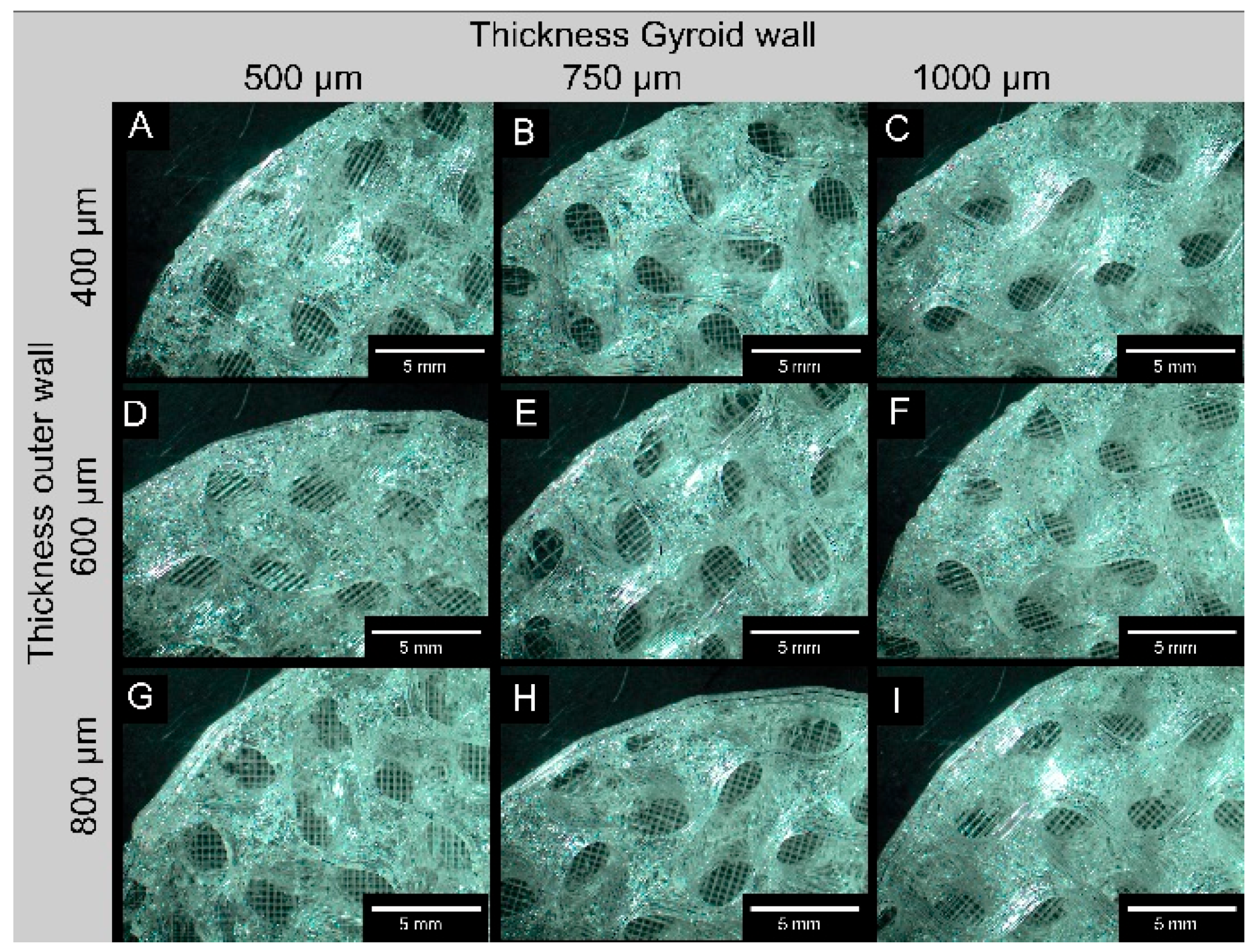 Biomedicines 14 00323 g0a1