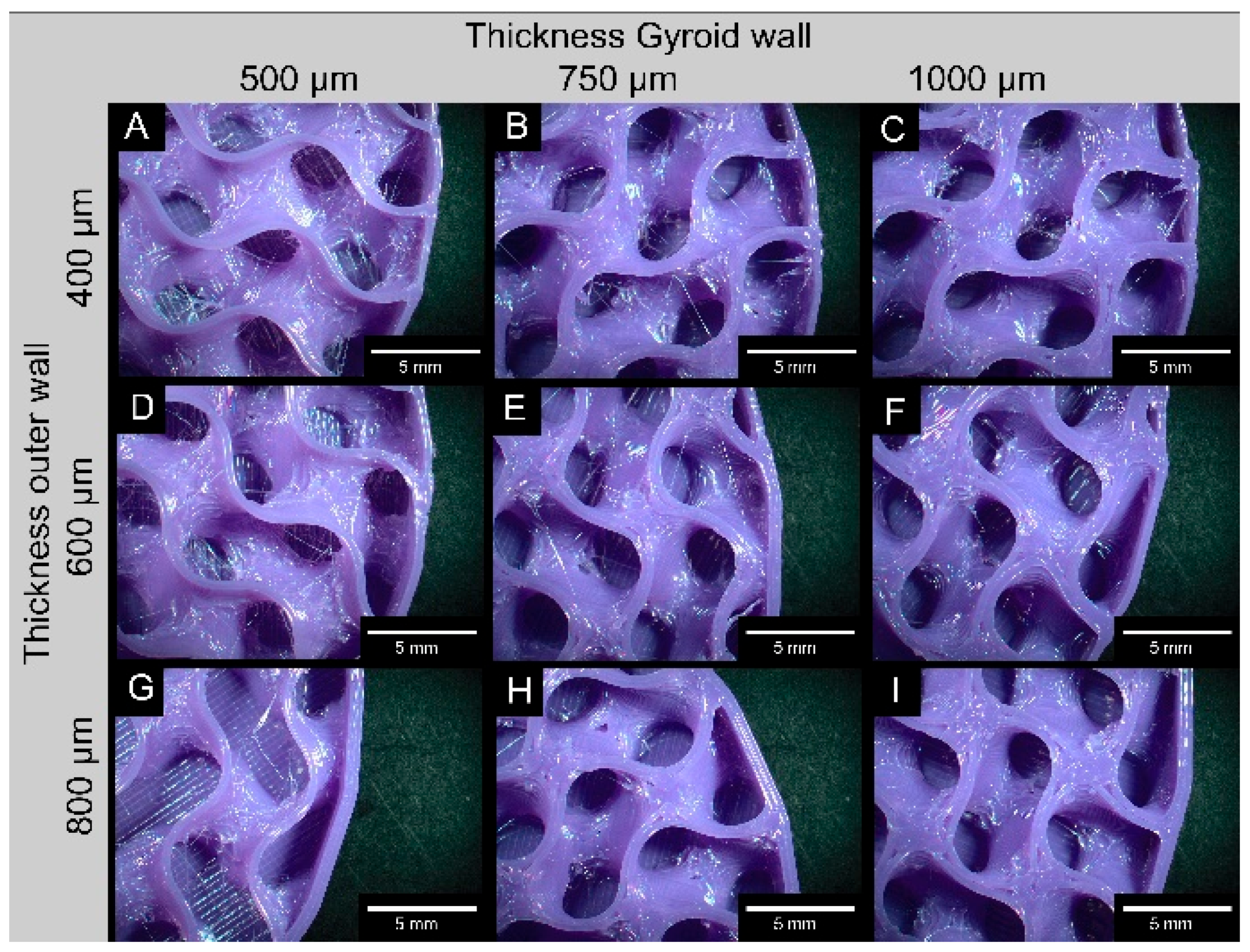 Biomedicines 14 00323 g0a2