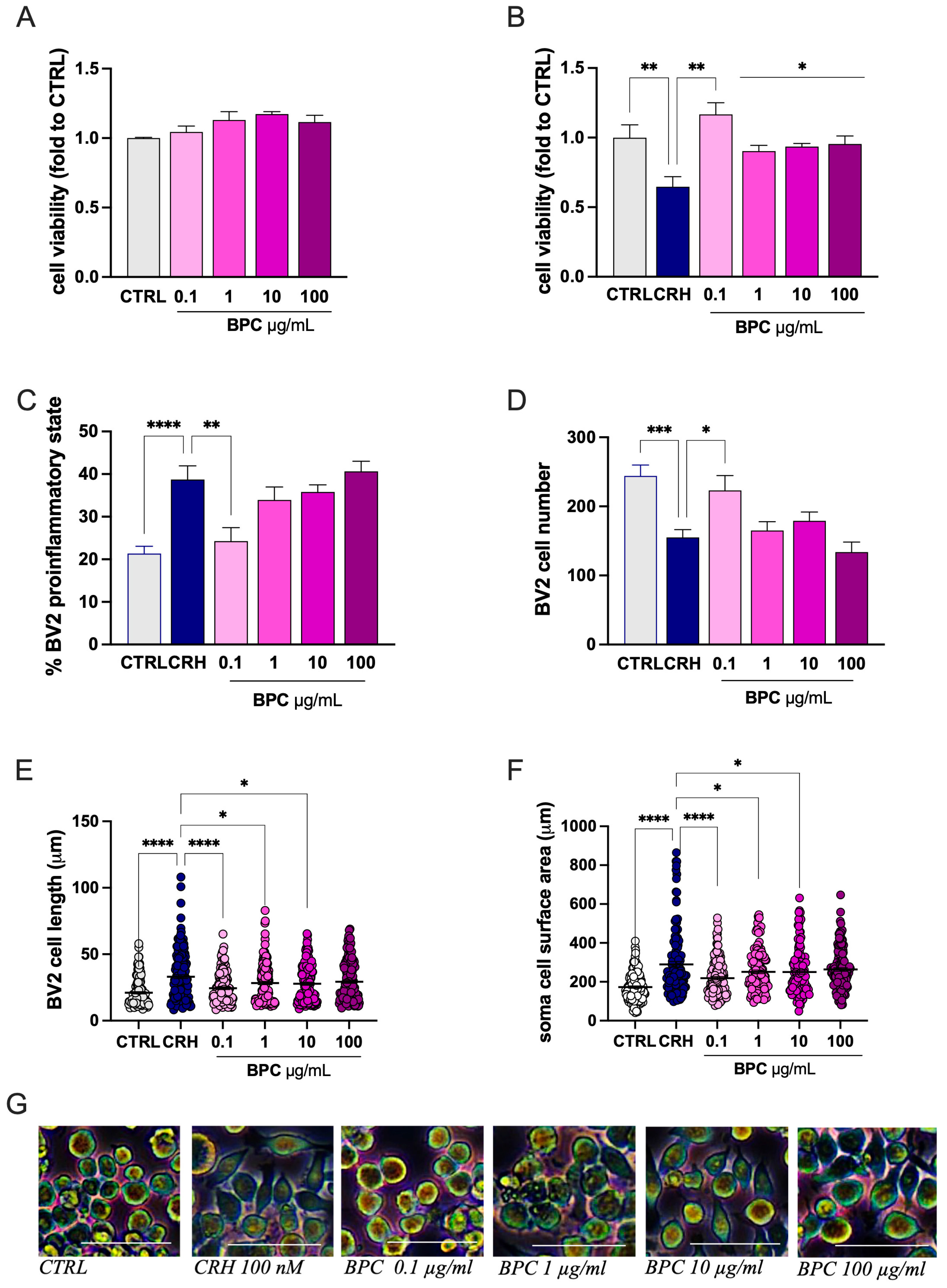 Biomedicines 14 00340 g002