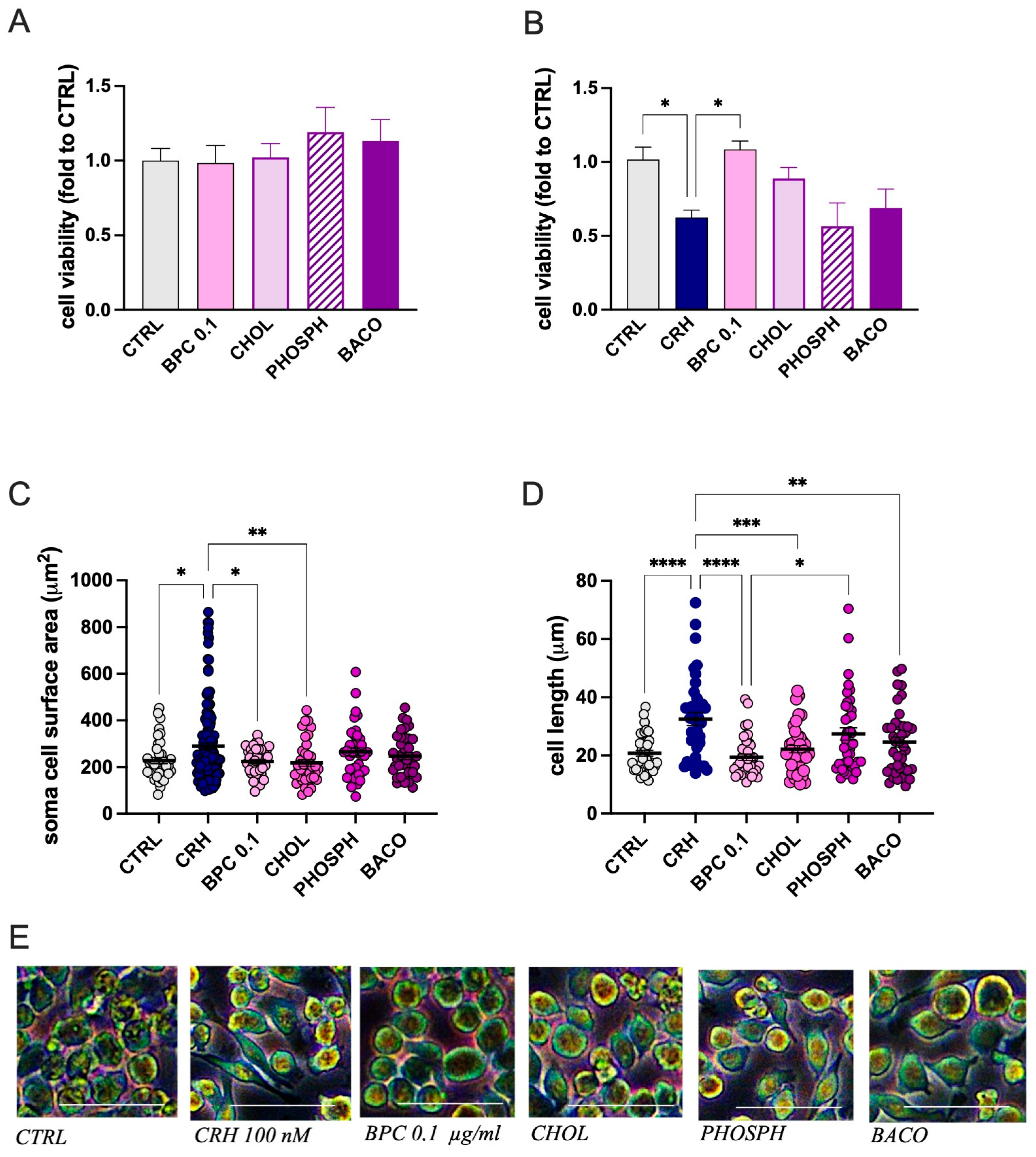 Biomedicines 14 00340 g003