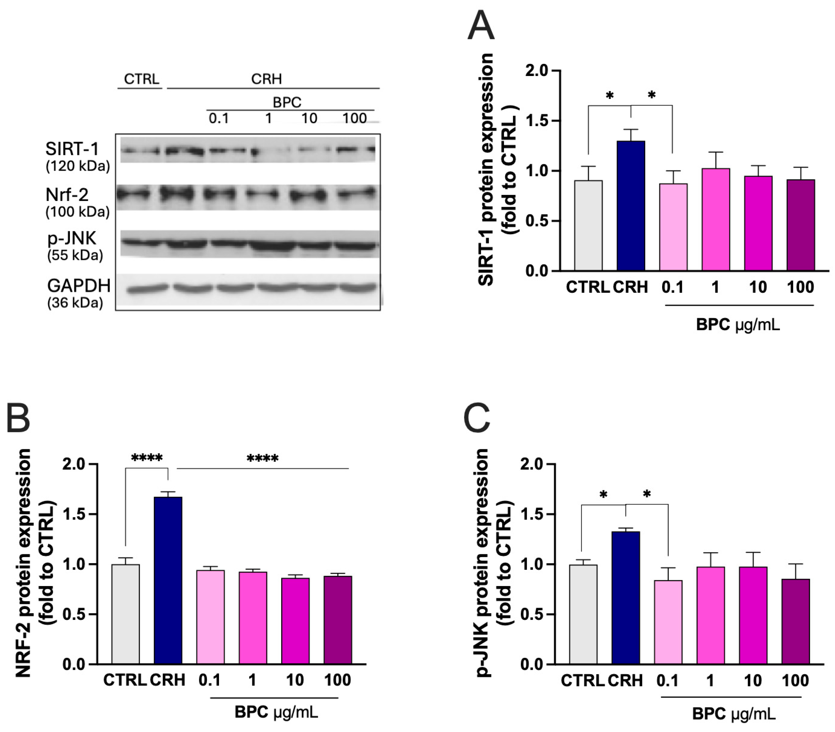 Biomedicines 14 00340 g004