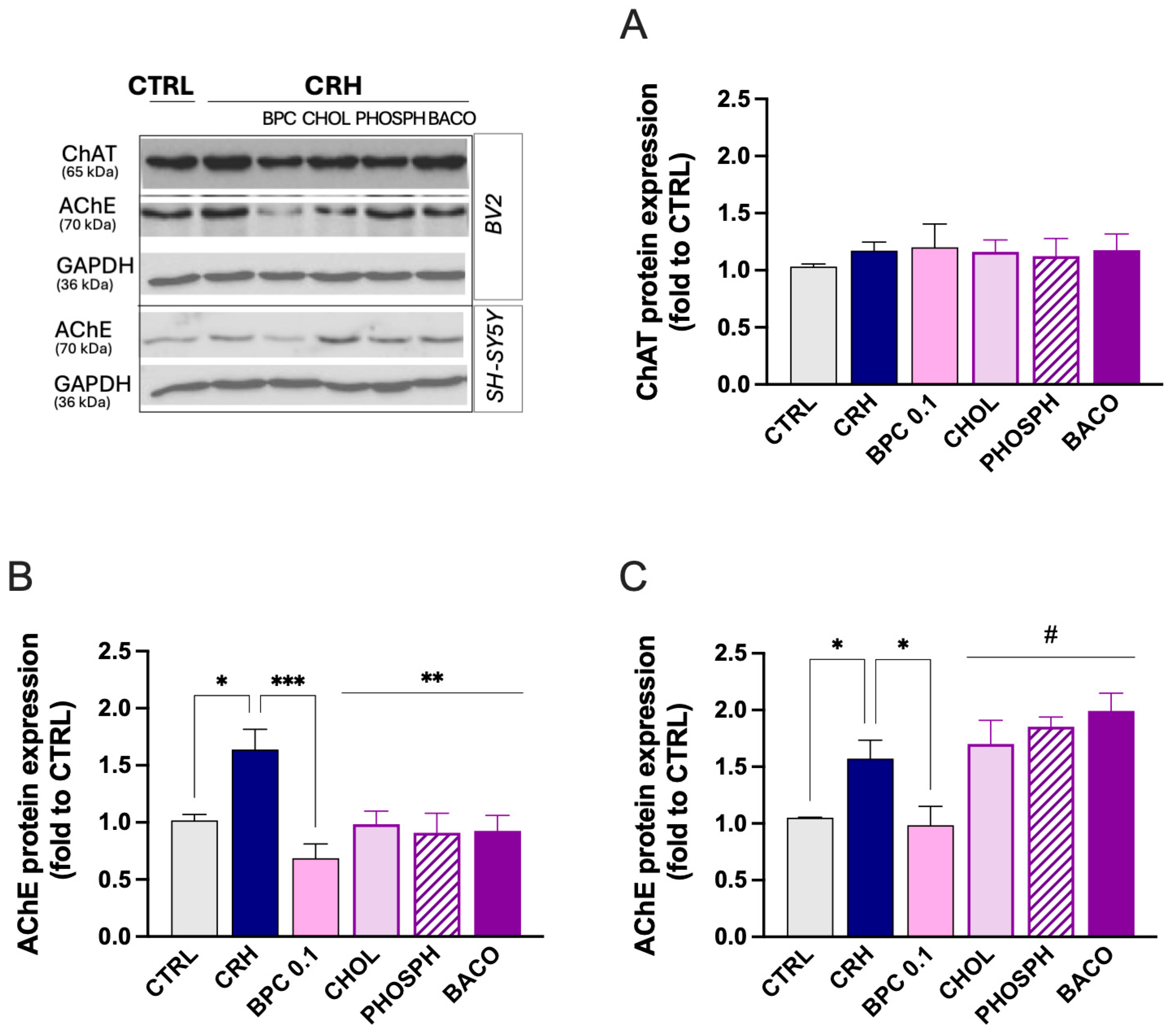 Biomedicines 14 00340 g006