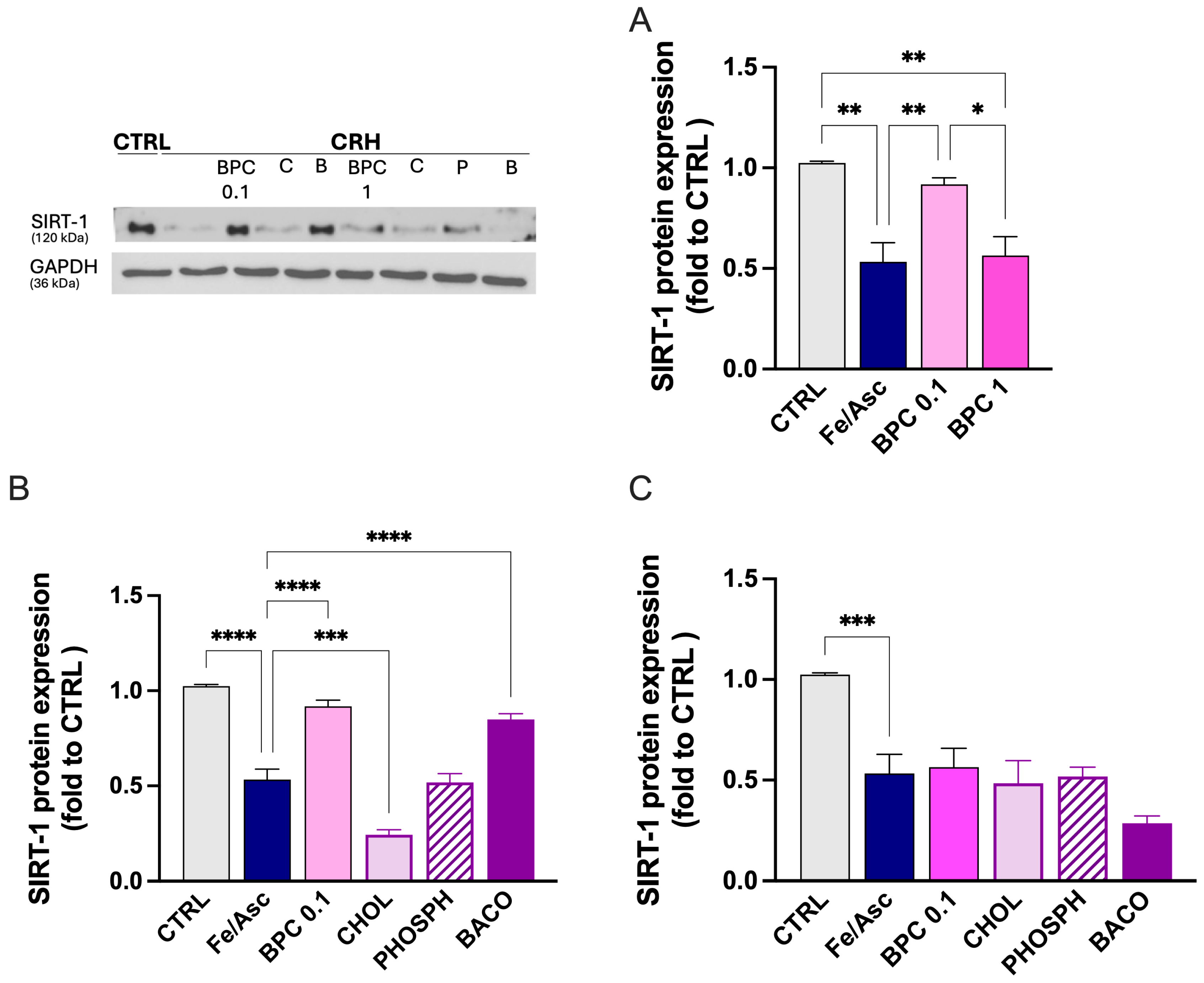 Biomedicines 14 00340 g008