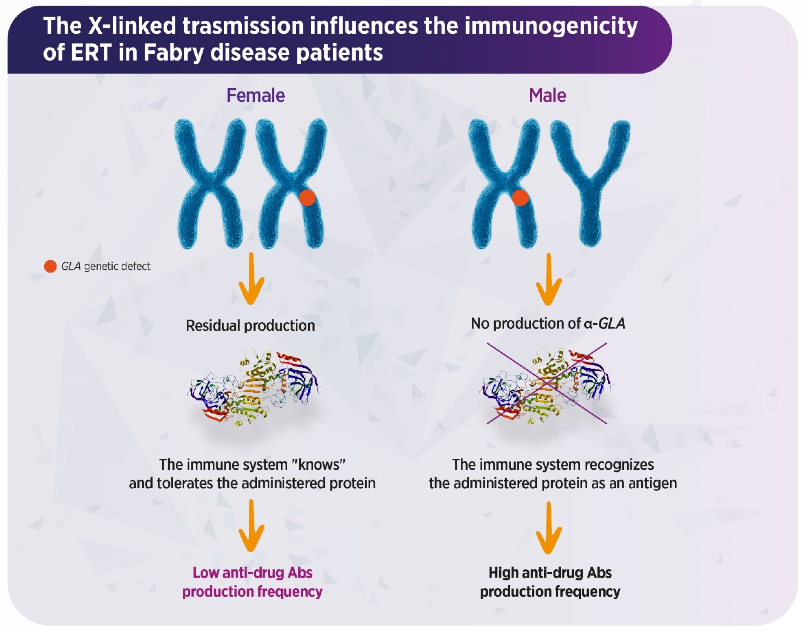 Biomedicines 14 00343 g001
