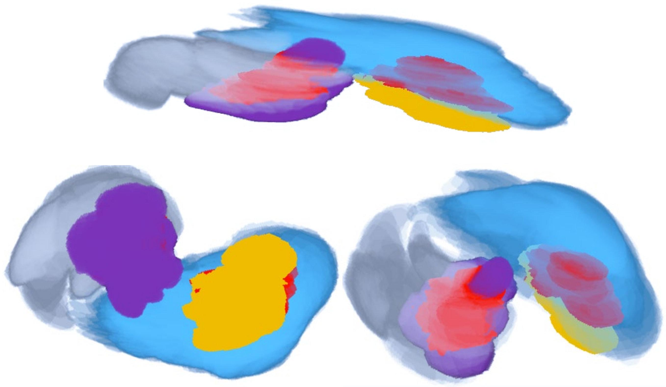 Biomedinformatics 01 00007 g002 550