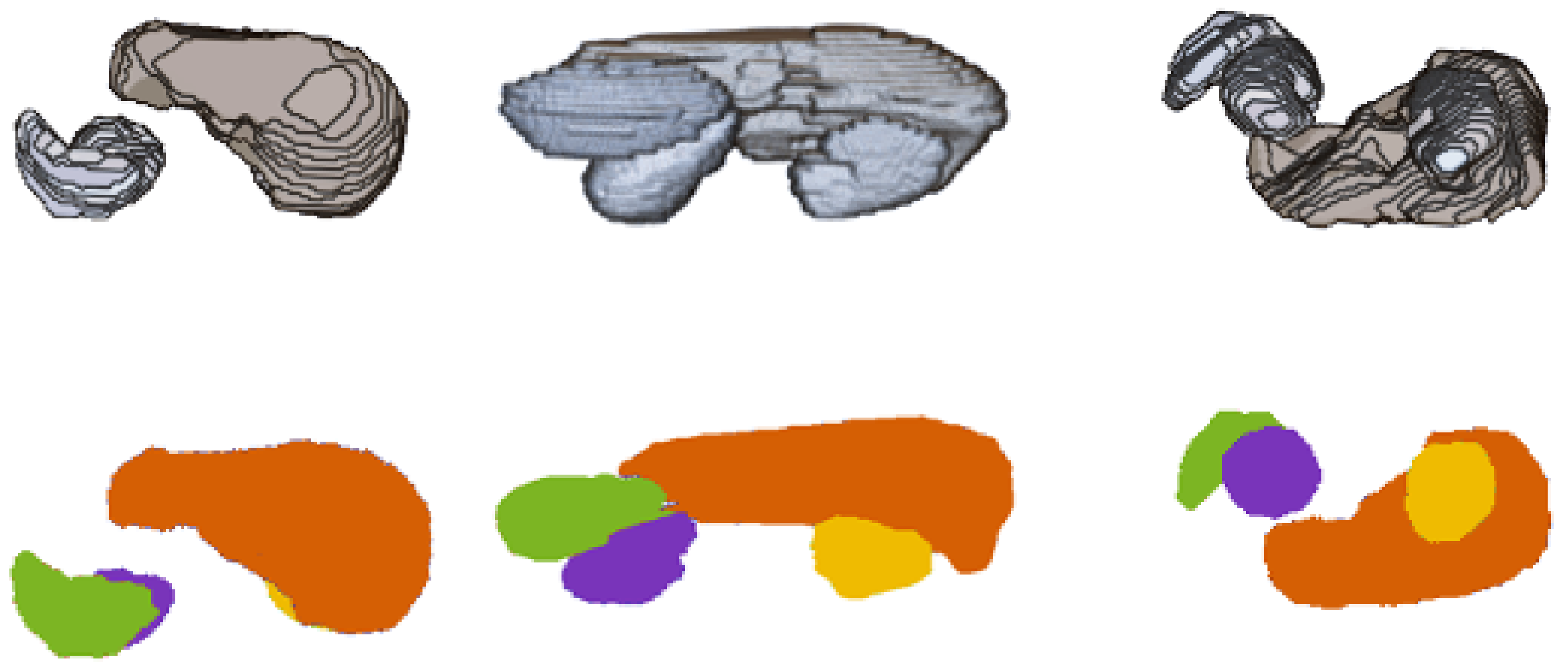 Biomedinformatics 01 00007 g006 550