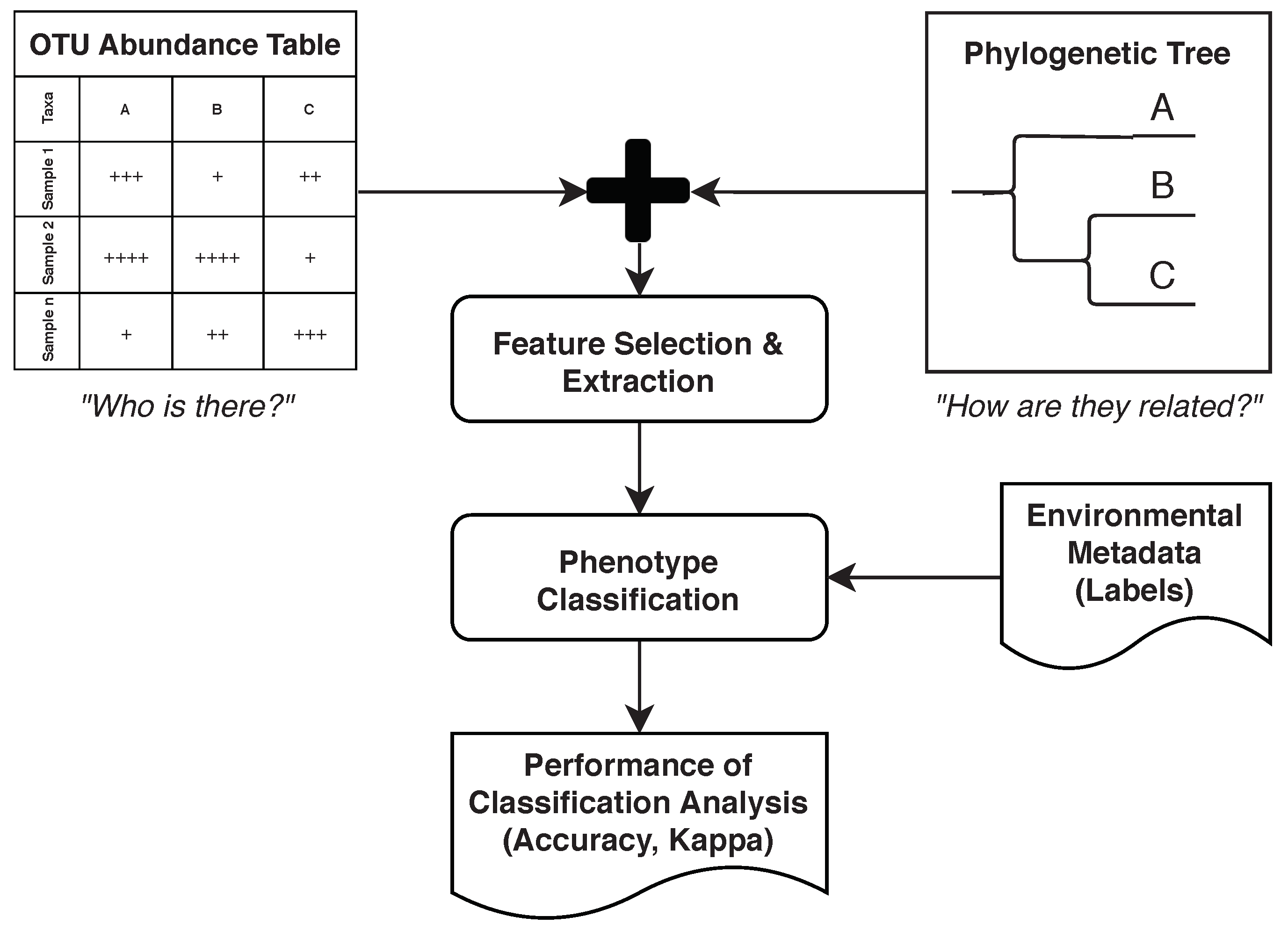Biomedinformatics 01 00010 g002