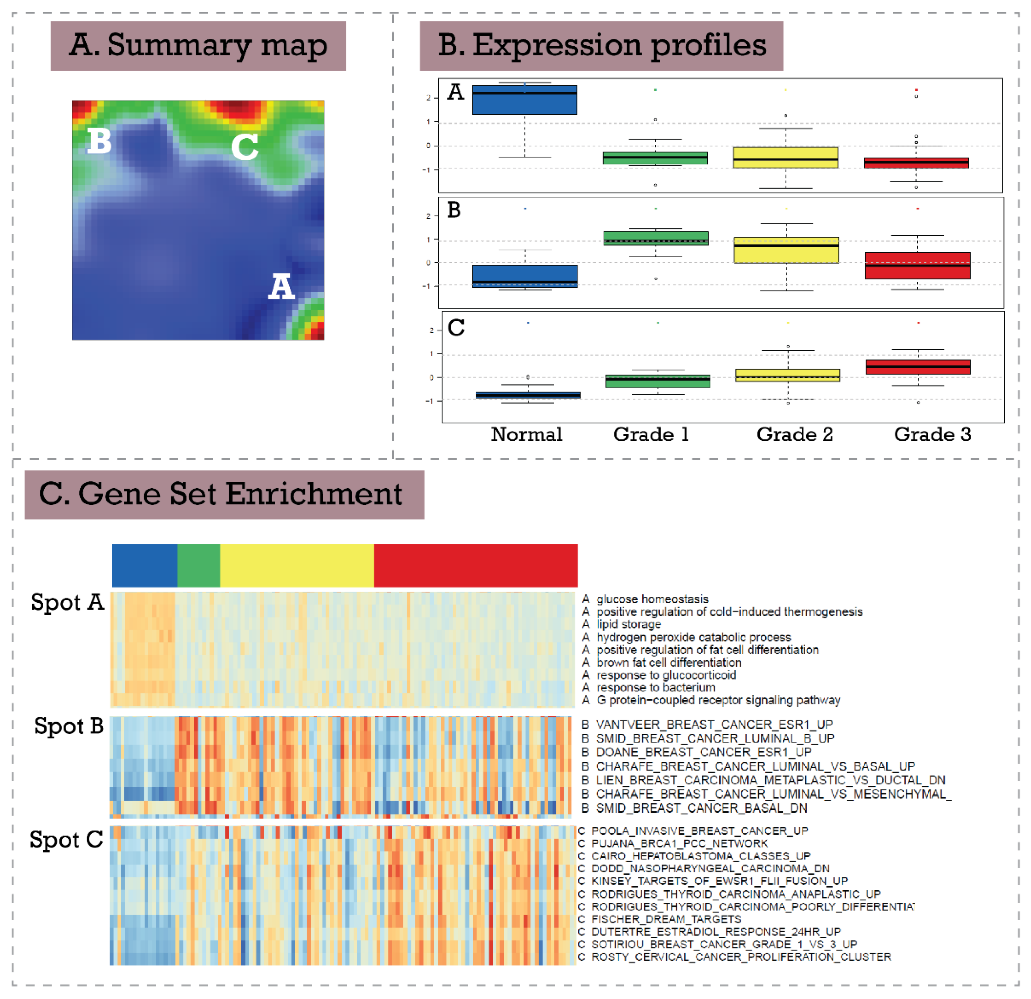 Biomedinformatics 02 00004 g006