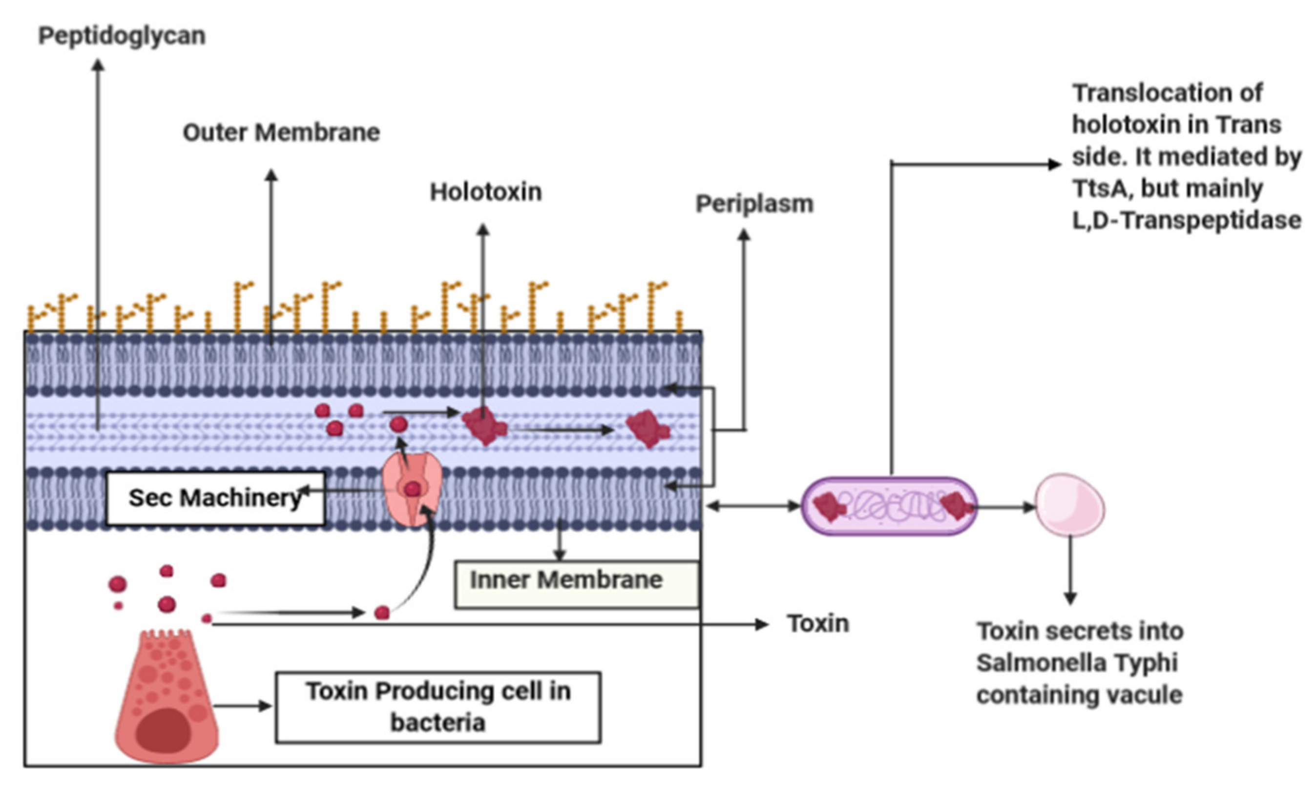 Biomedinformatics 02 00005 g001