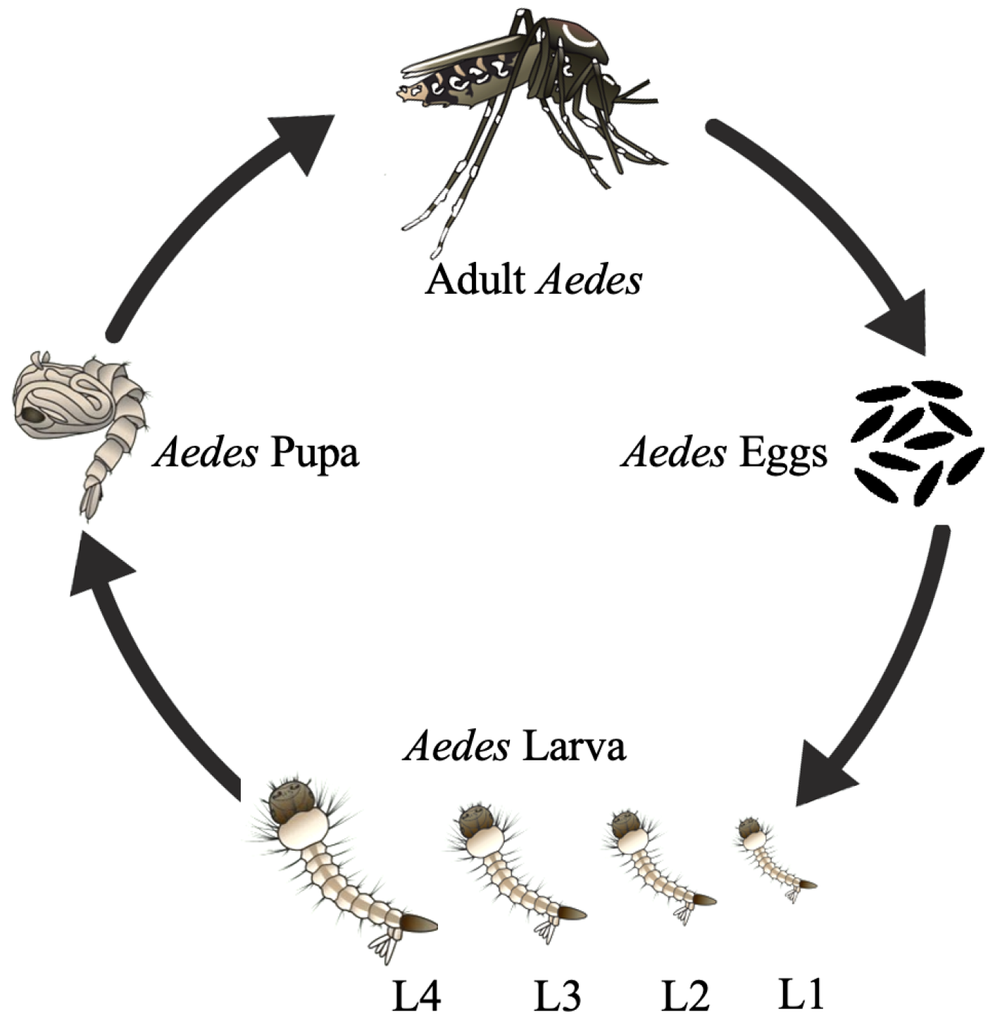 Biomedinformatics 02 00026 g002