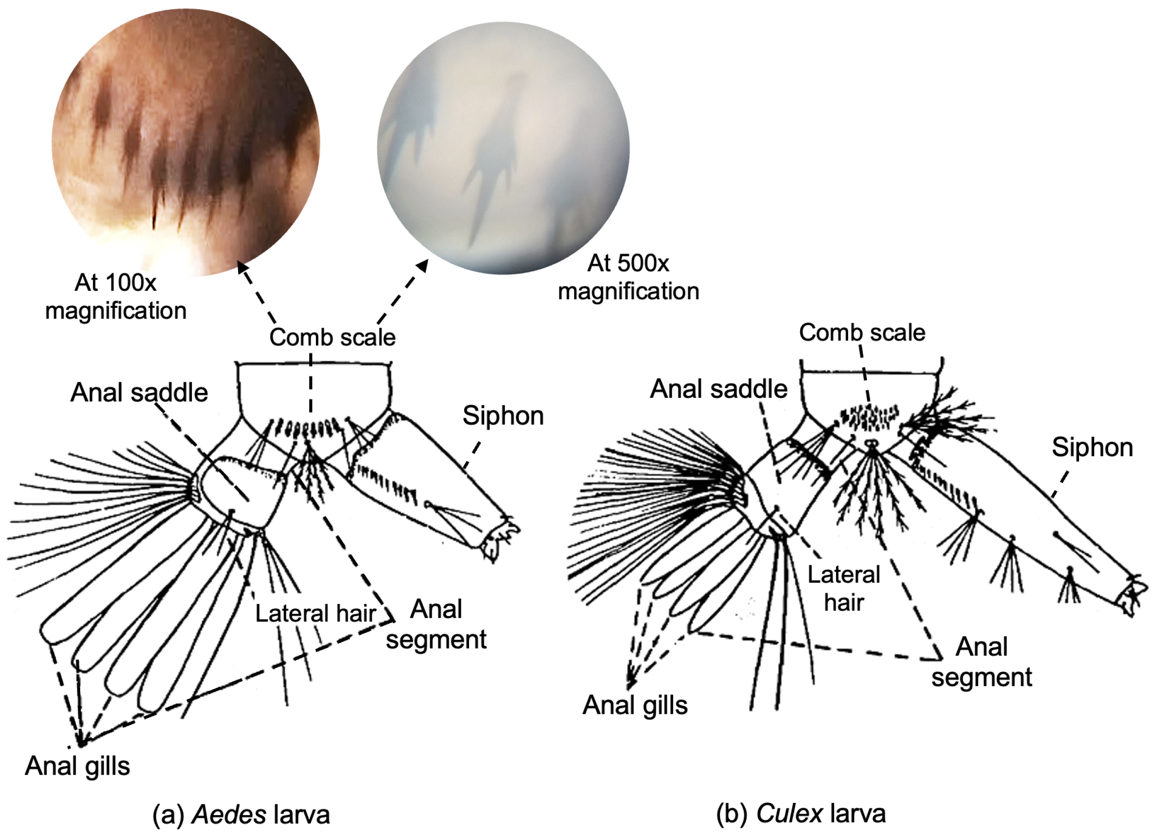 Biomedinformatics 02 00026 g005