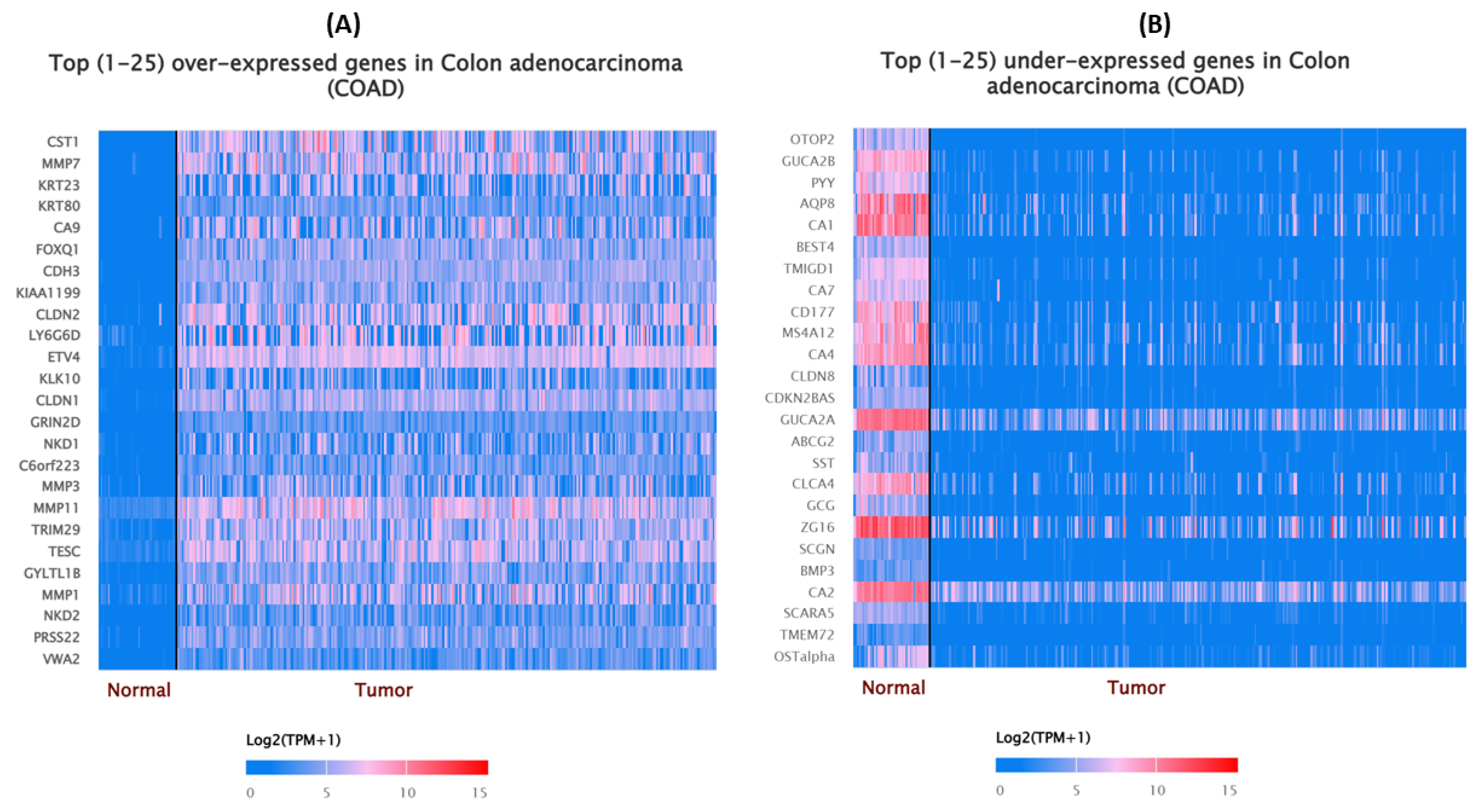 Biomedinformatics 02 00030 g002 Biomedinformatics 02 00030 g002