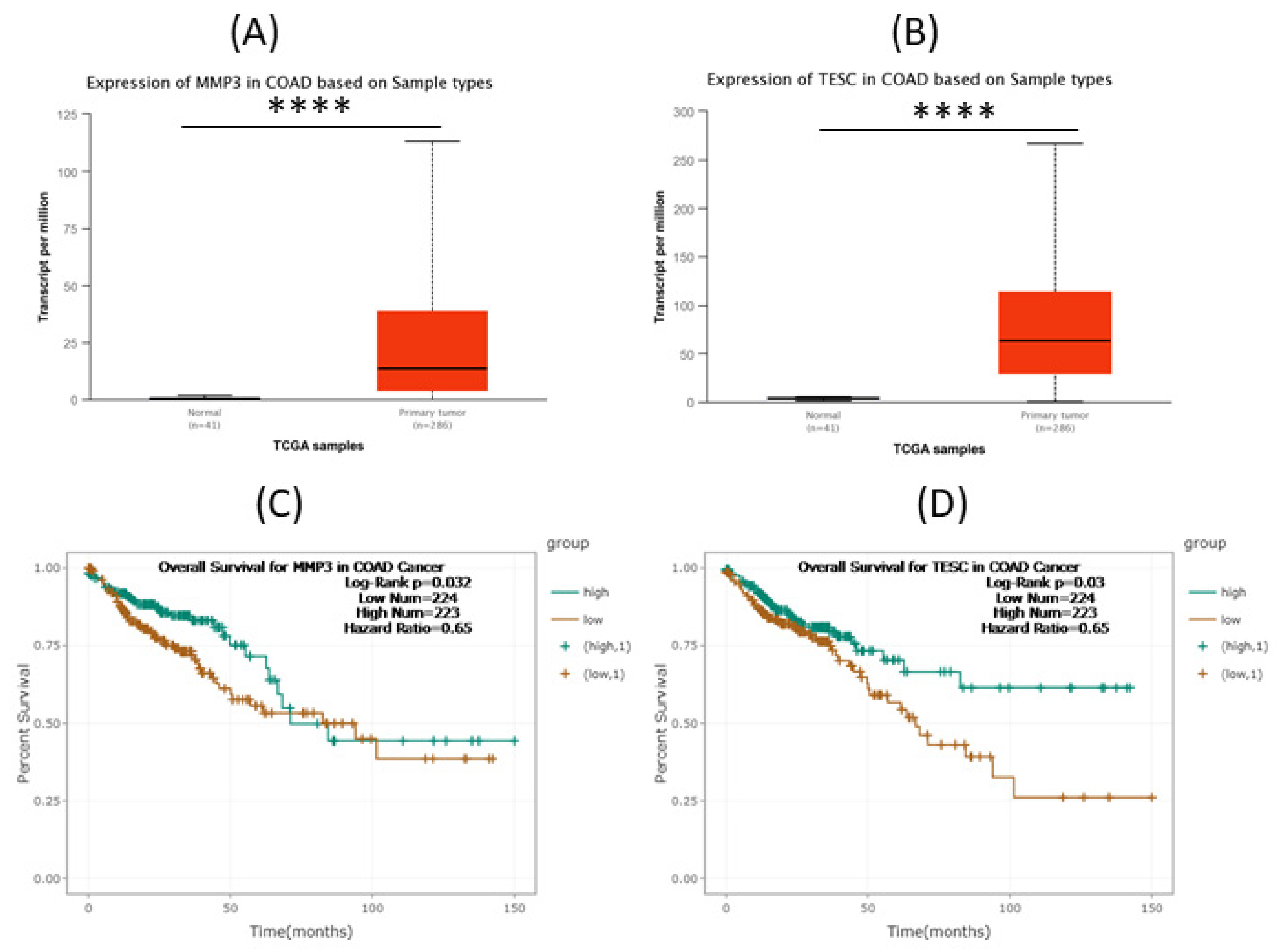 Biomedinformatics 02 00030 g003 Biomedinformatics 02 00030 g003