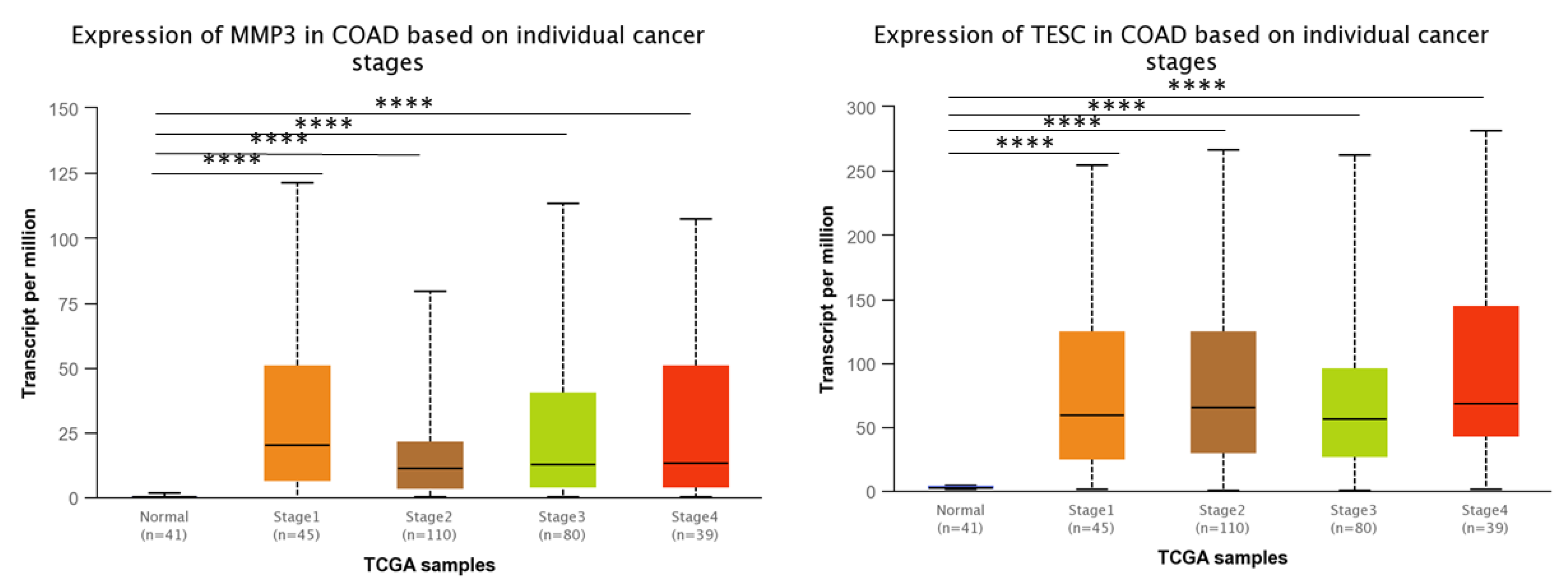 Biomedinformatics 02 00030 g005 Biomedinformatics 02 00030 g005