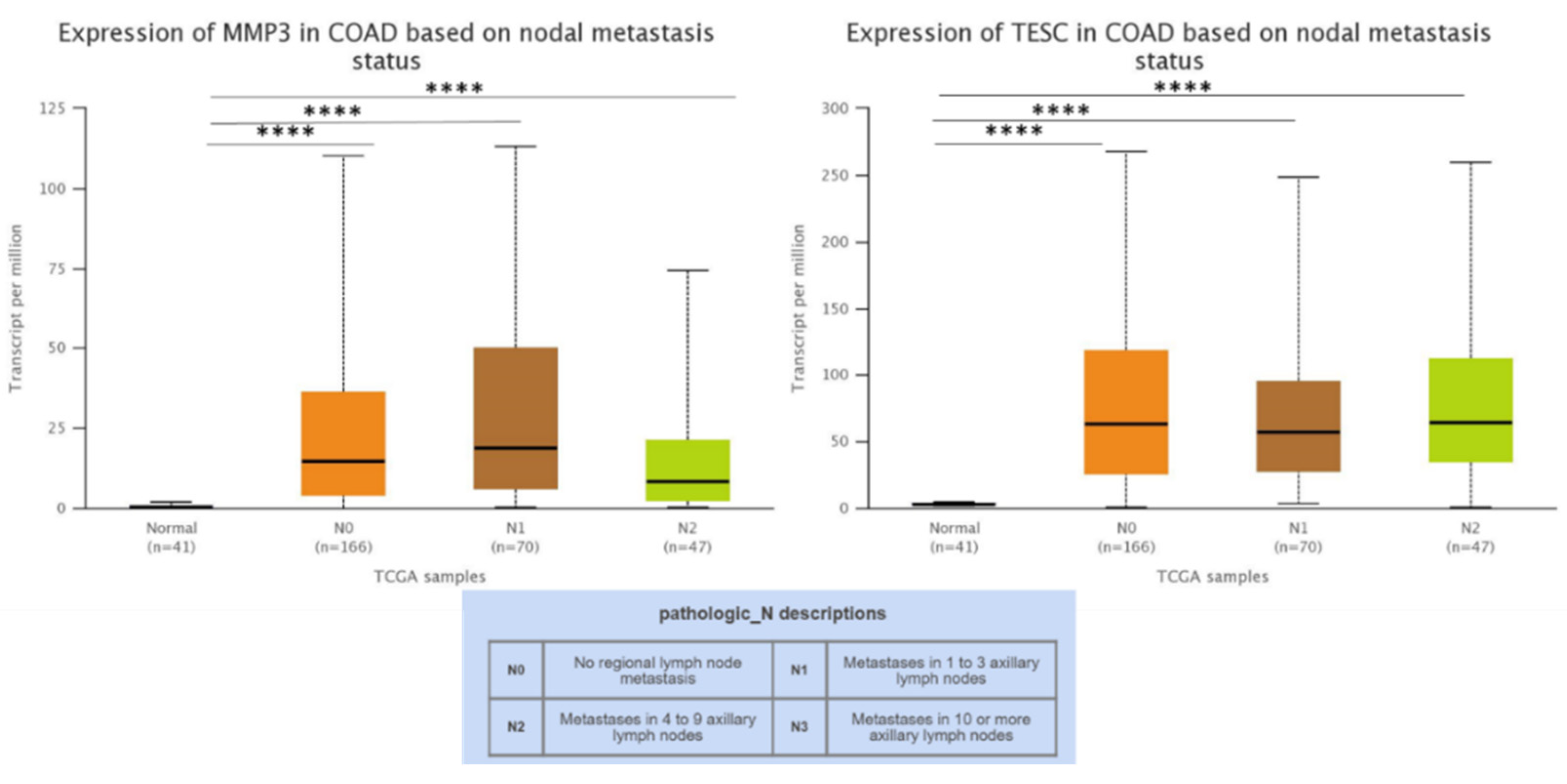 Biomedinformatics 02 00030 g006 Biomedinformatics 02 00030 g006