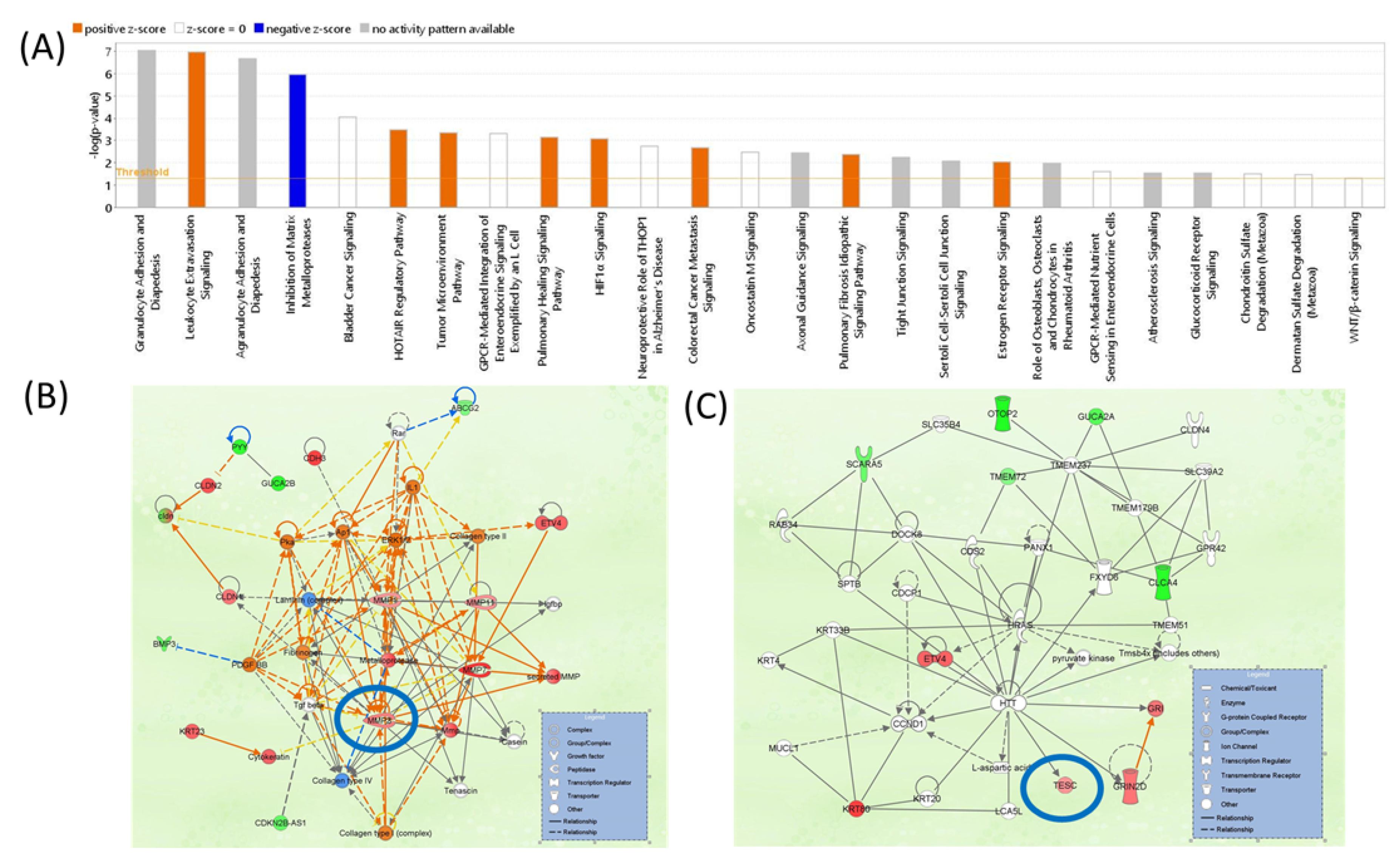 Biomedinformatics 02 00030 g010 Biomedinformatics 02 00030 g010