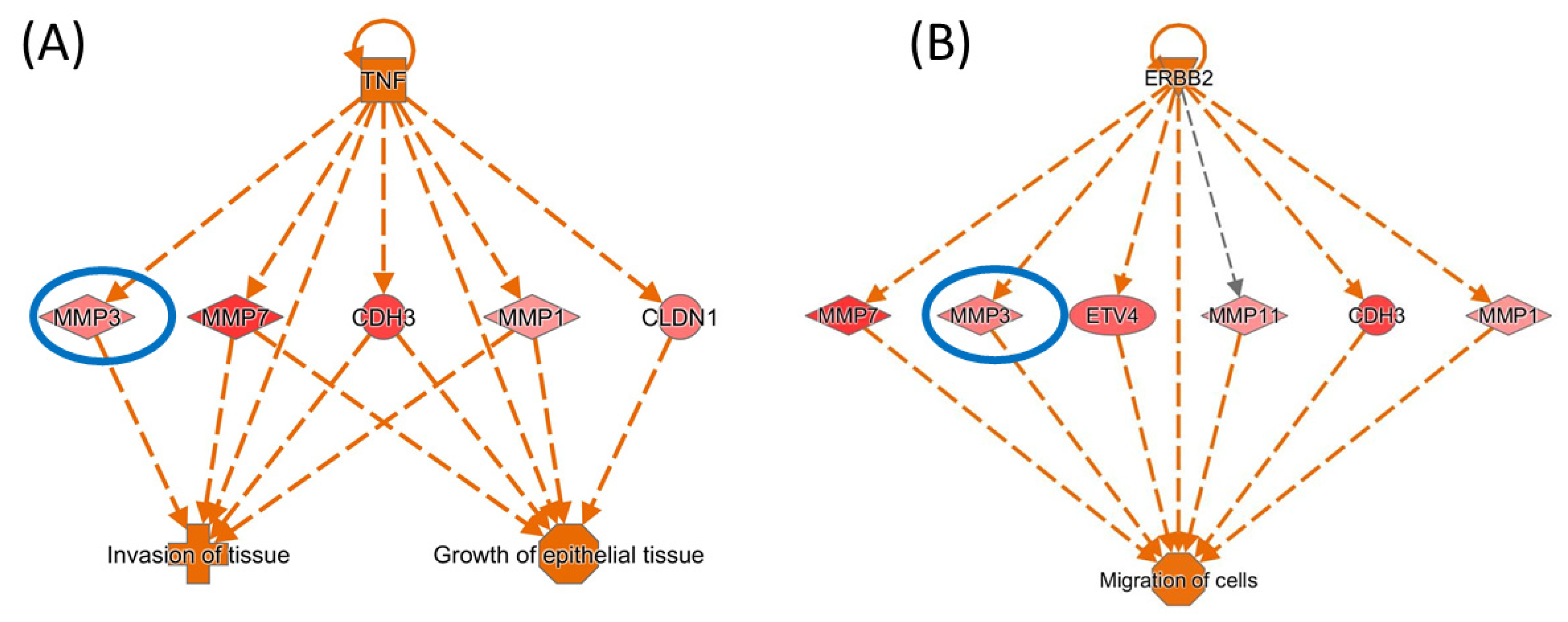 Biomedinformatics 02 00030 g011 Biomedinformatics 02 00030 g011