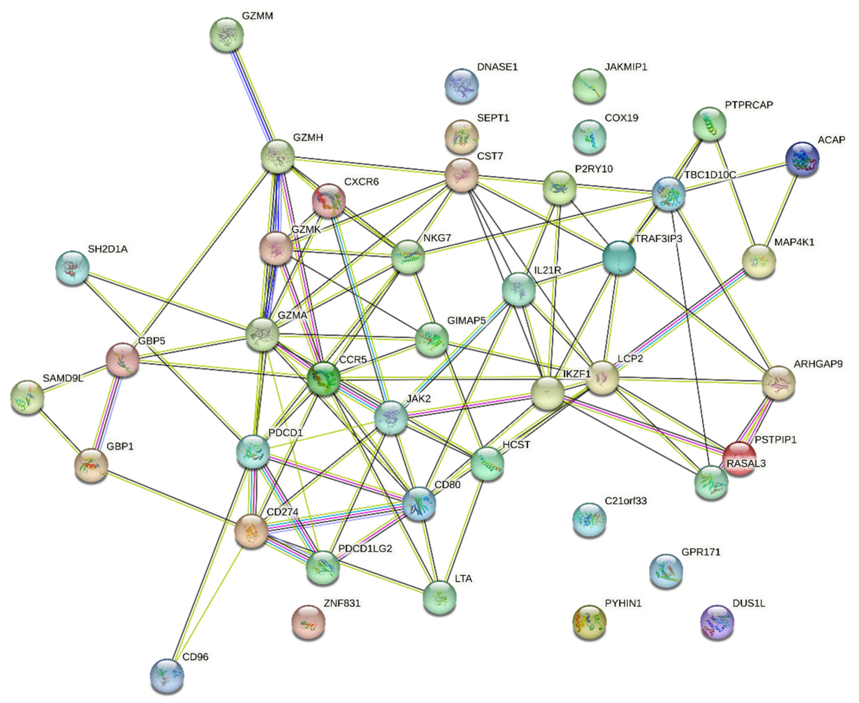 Biomedinformatics 02 00037 g001 Biomedinformatics 02 00037 g001
