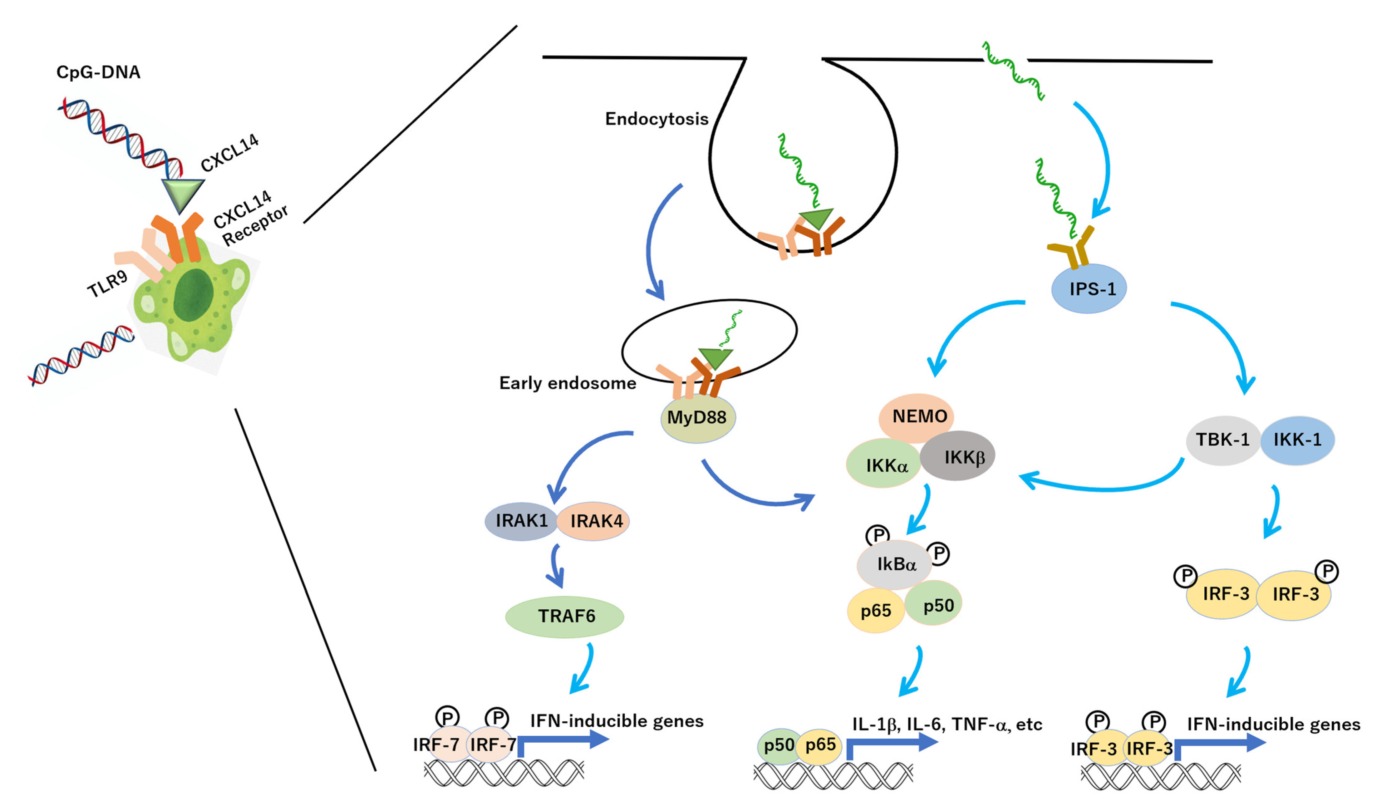 Biomedinformatics 03 00004 g002 Biomedinformatics 03 00004 g002