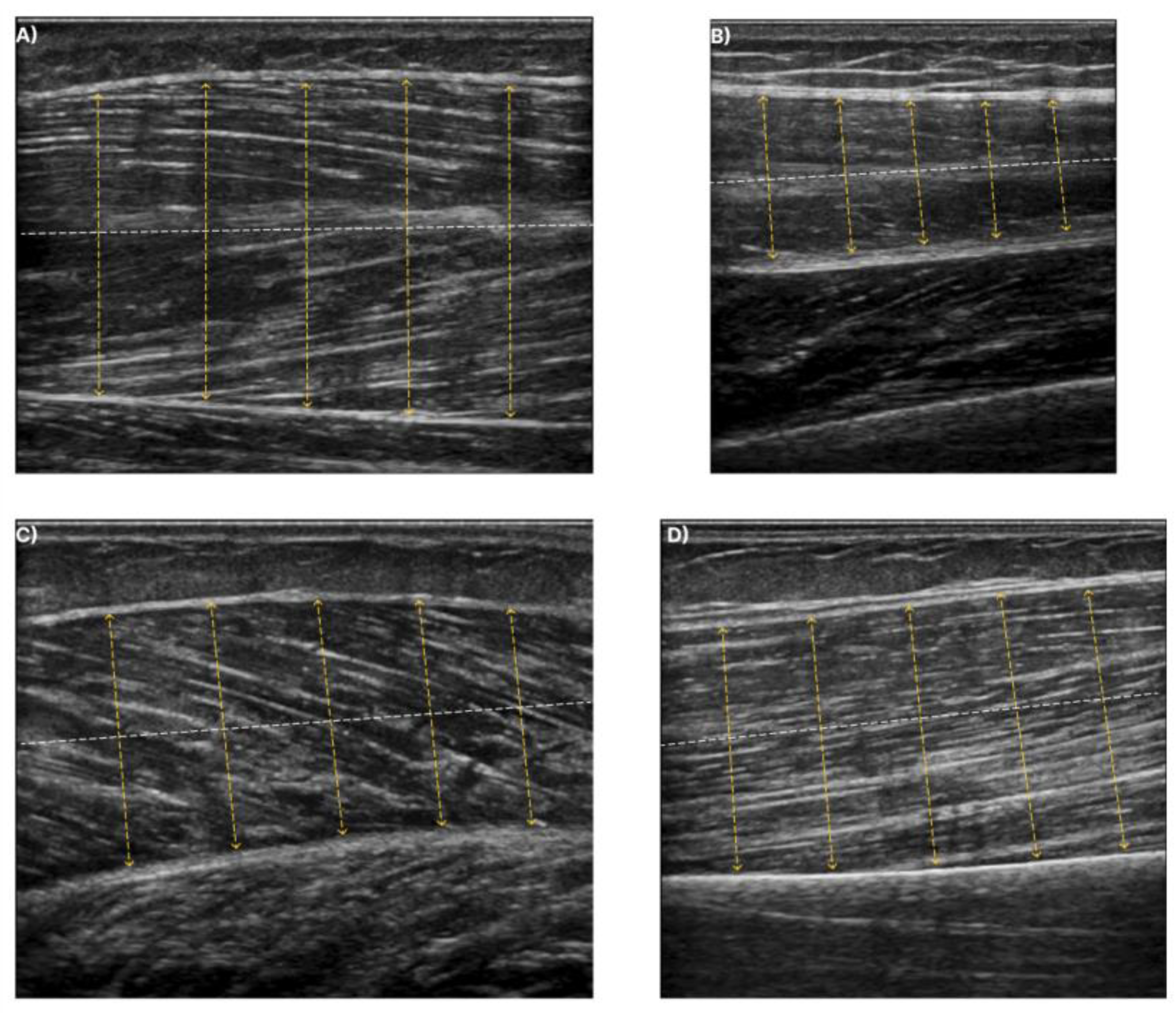 Biomedinformatics 03 00027 g003 550