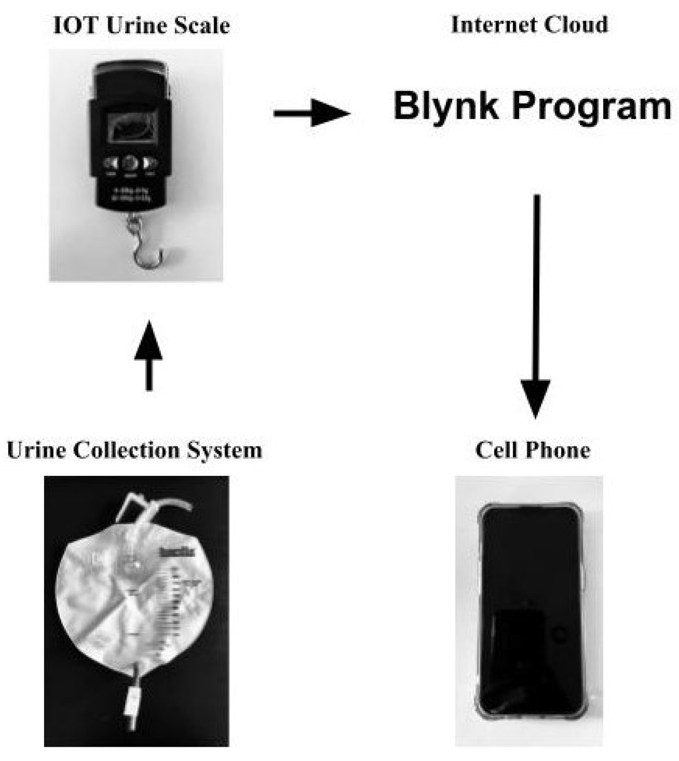 BioMedInformatics Free FullText An IoTBased Automatic and