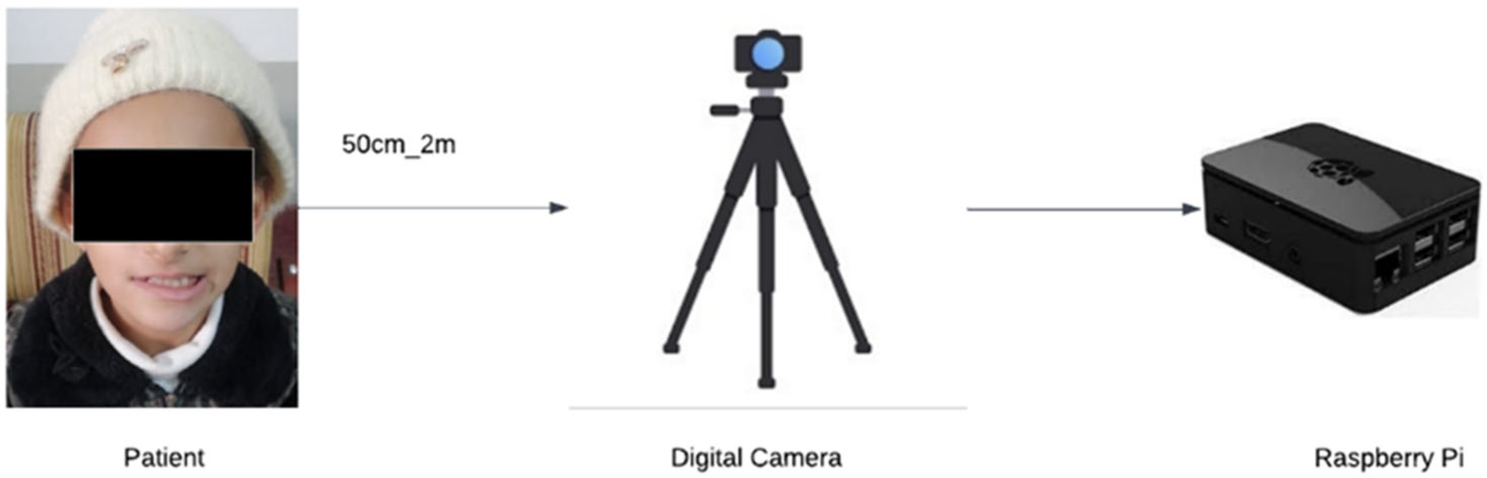 Biomedinformatics 03 00031 g001