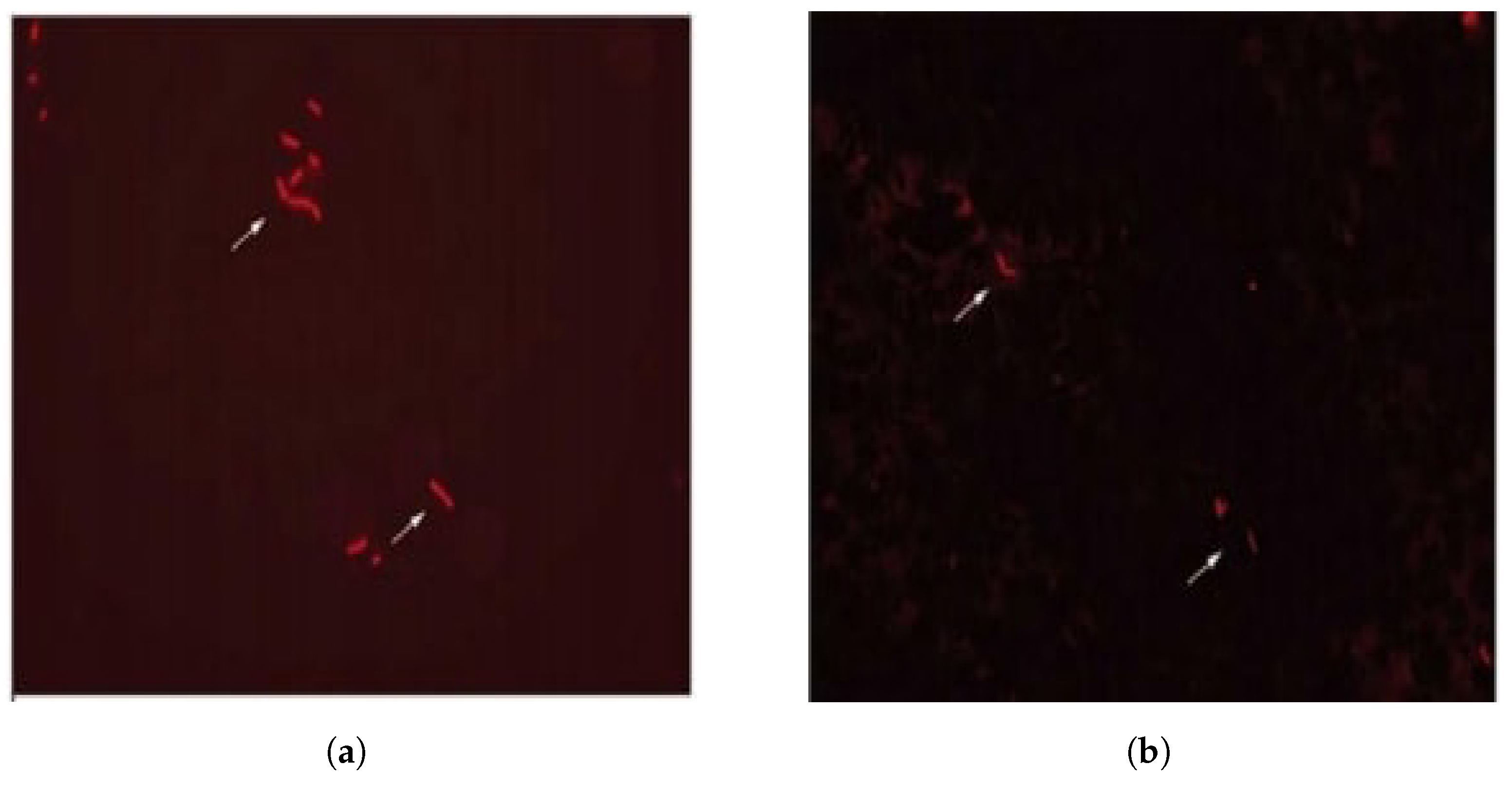 Biomedinformatics 03 00047 g002