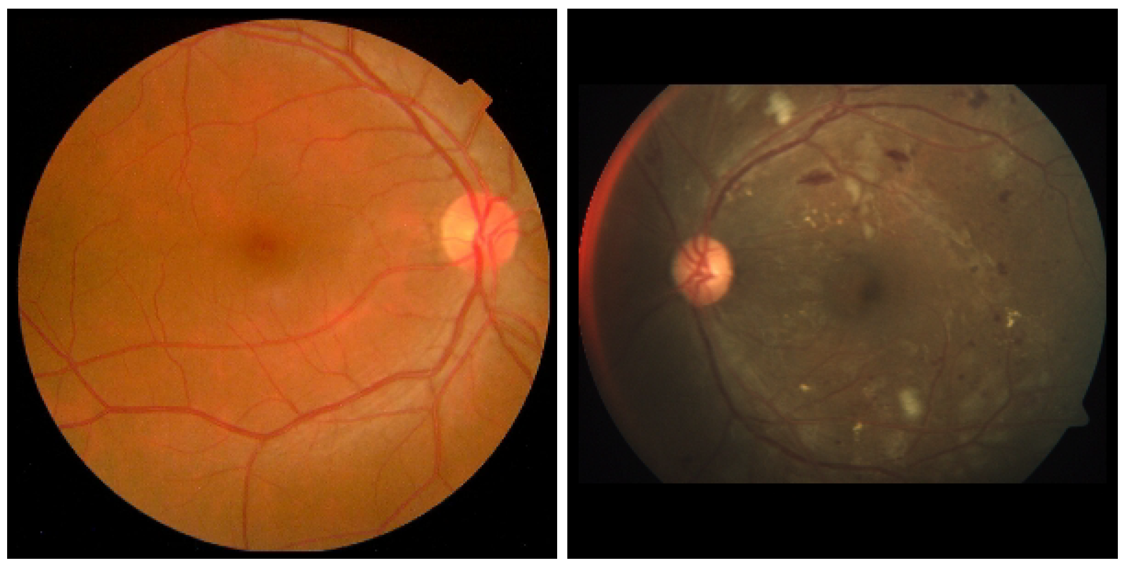 Biomedinformatics 03 00058 g002