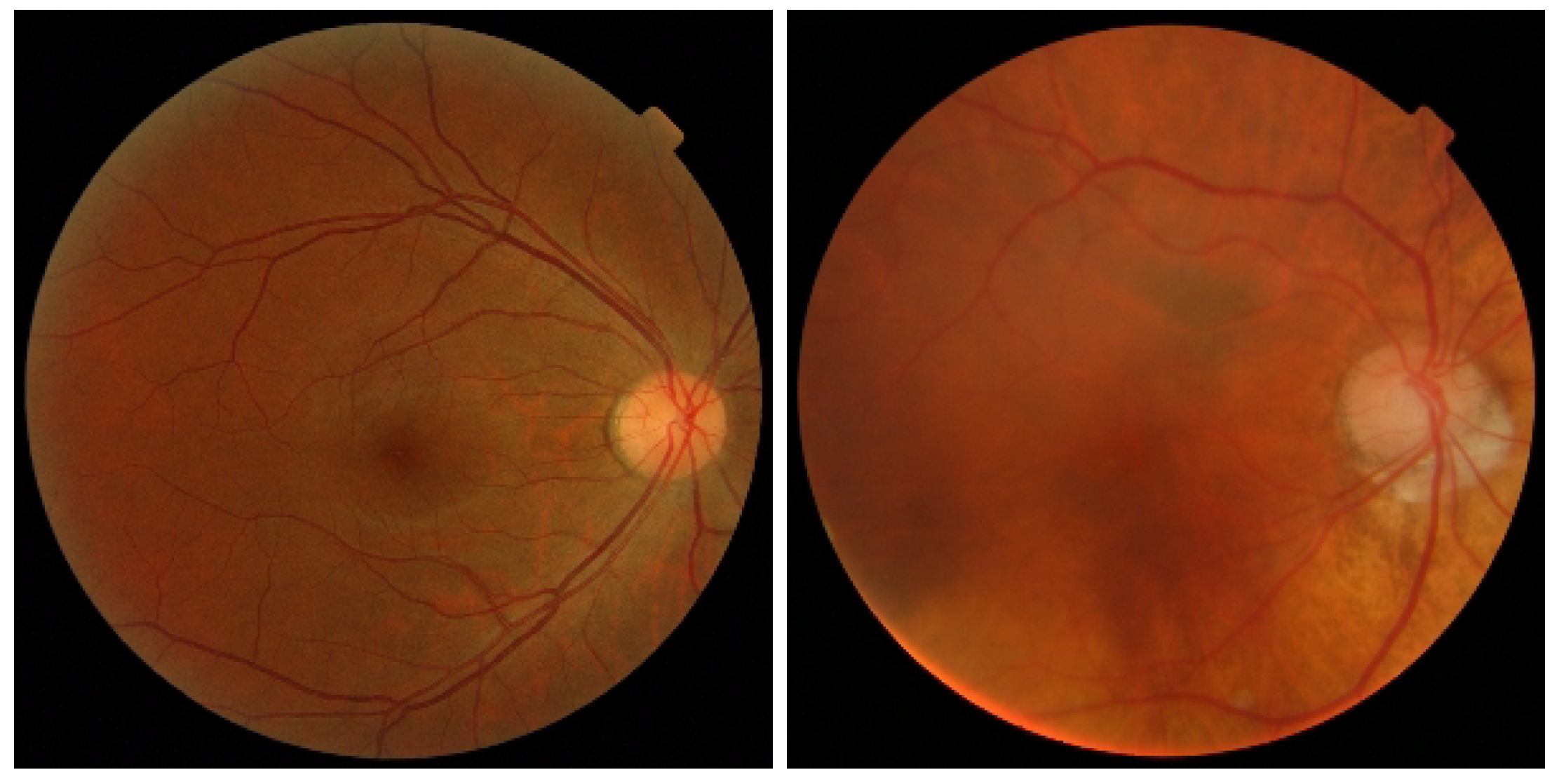 Biomedinformatics 03 00058 g003