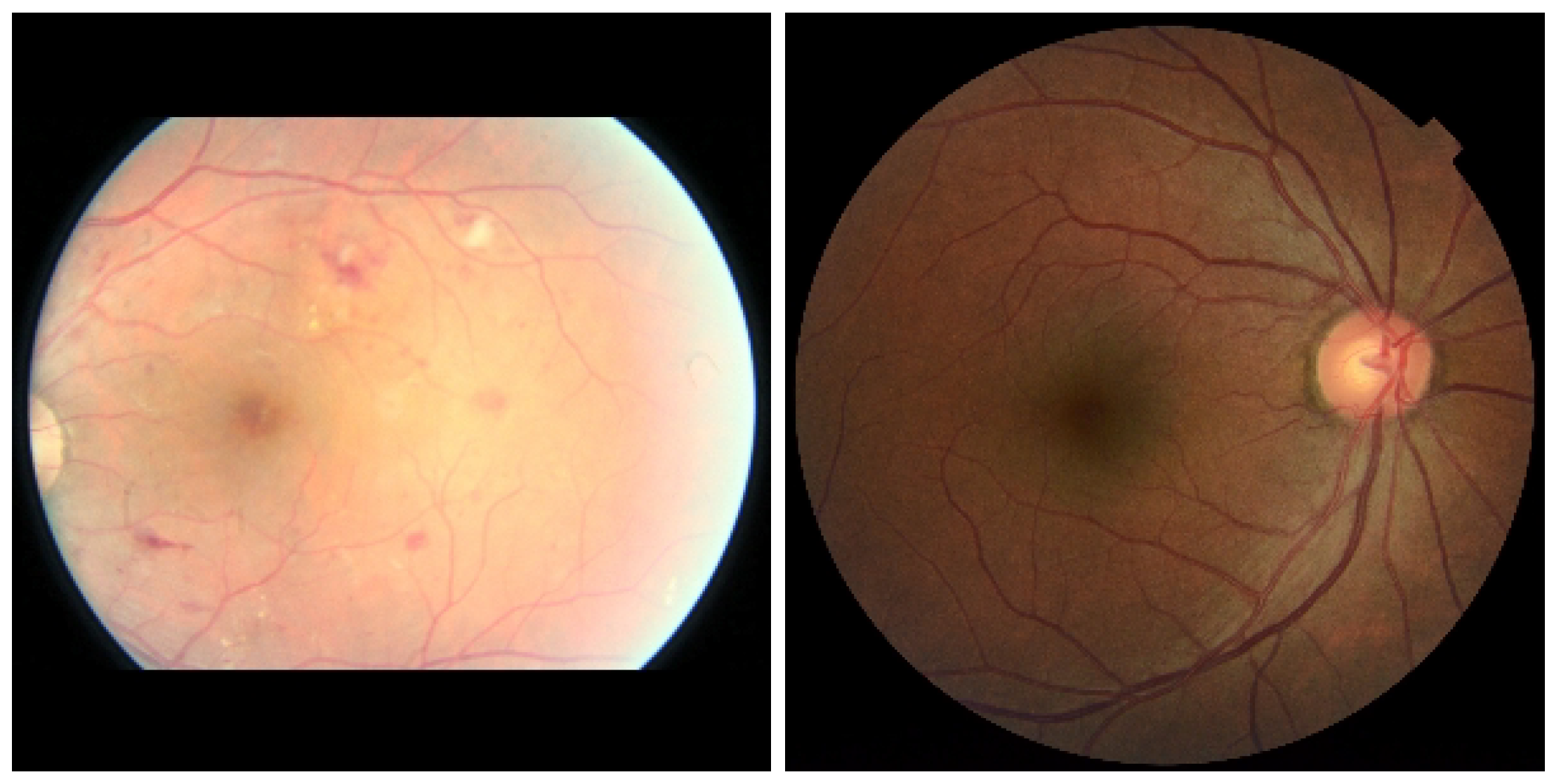 Biomedinformatics 03 00058 g005