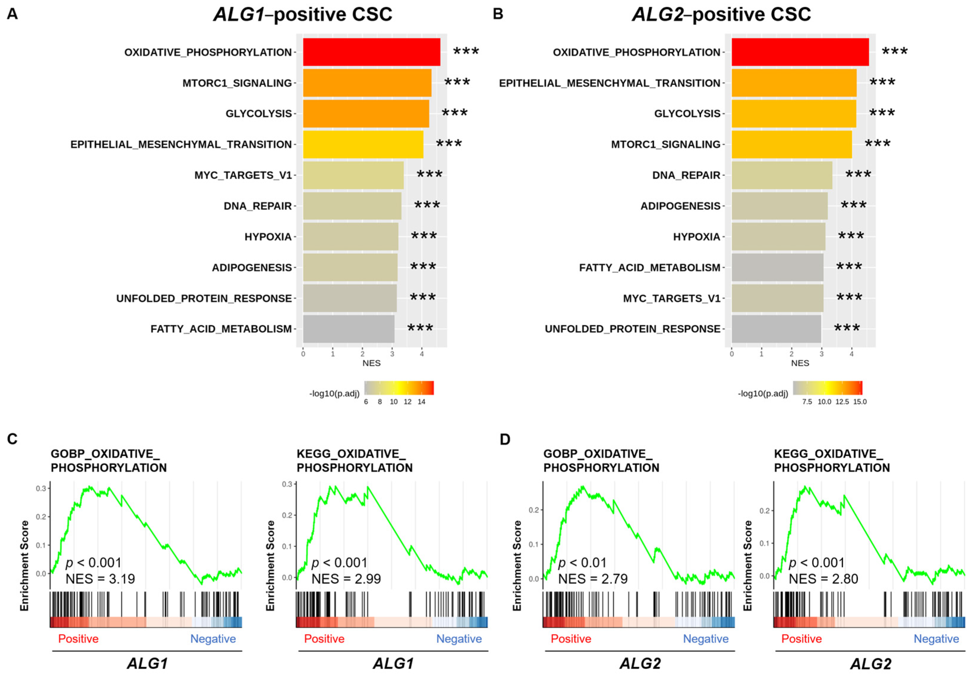 Biomedinformatics 04 00005 g005