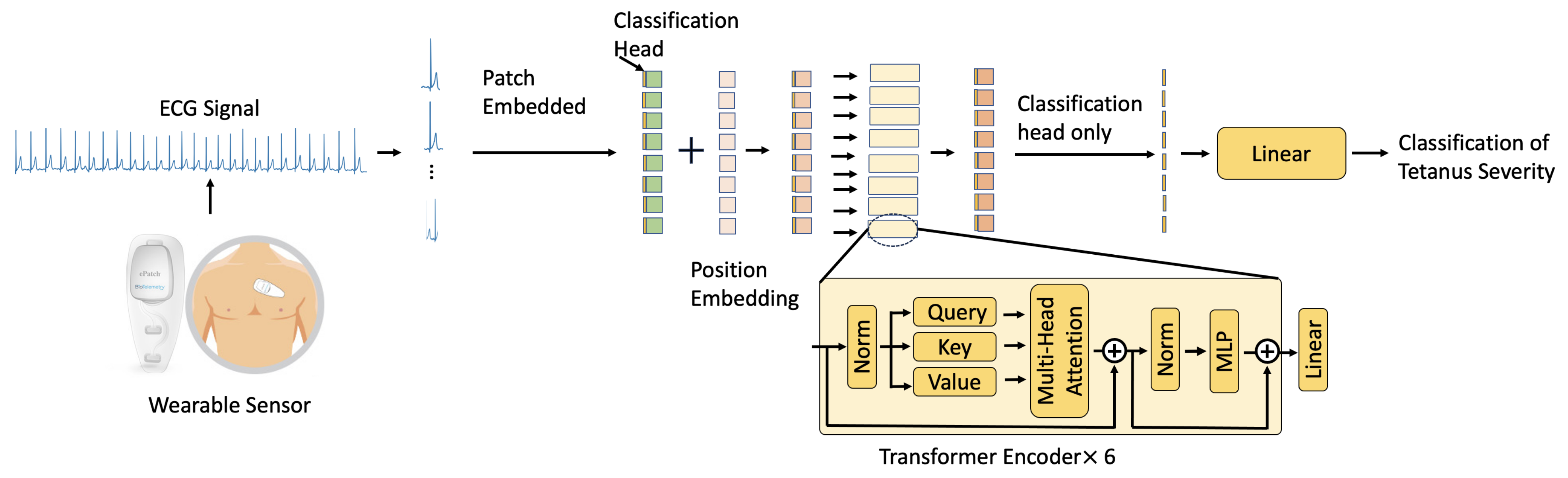 Biomedinformatics 04 00016 g001