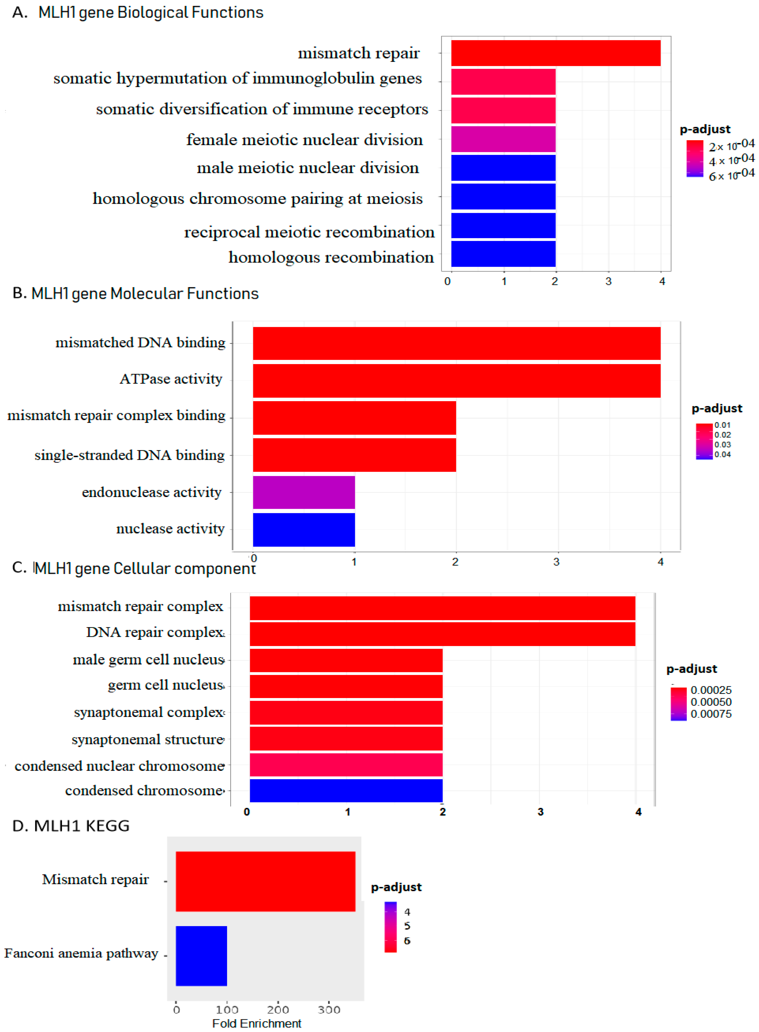 Biomedinformatics 04 00019 g002