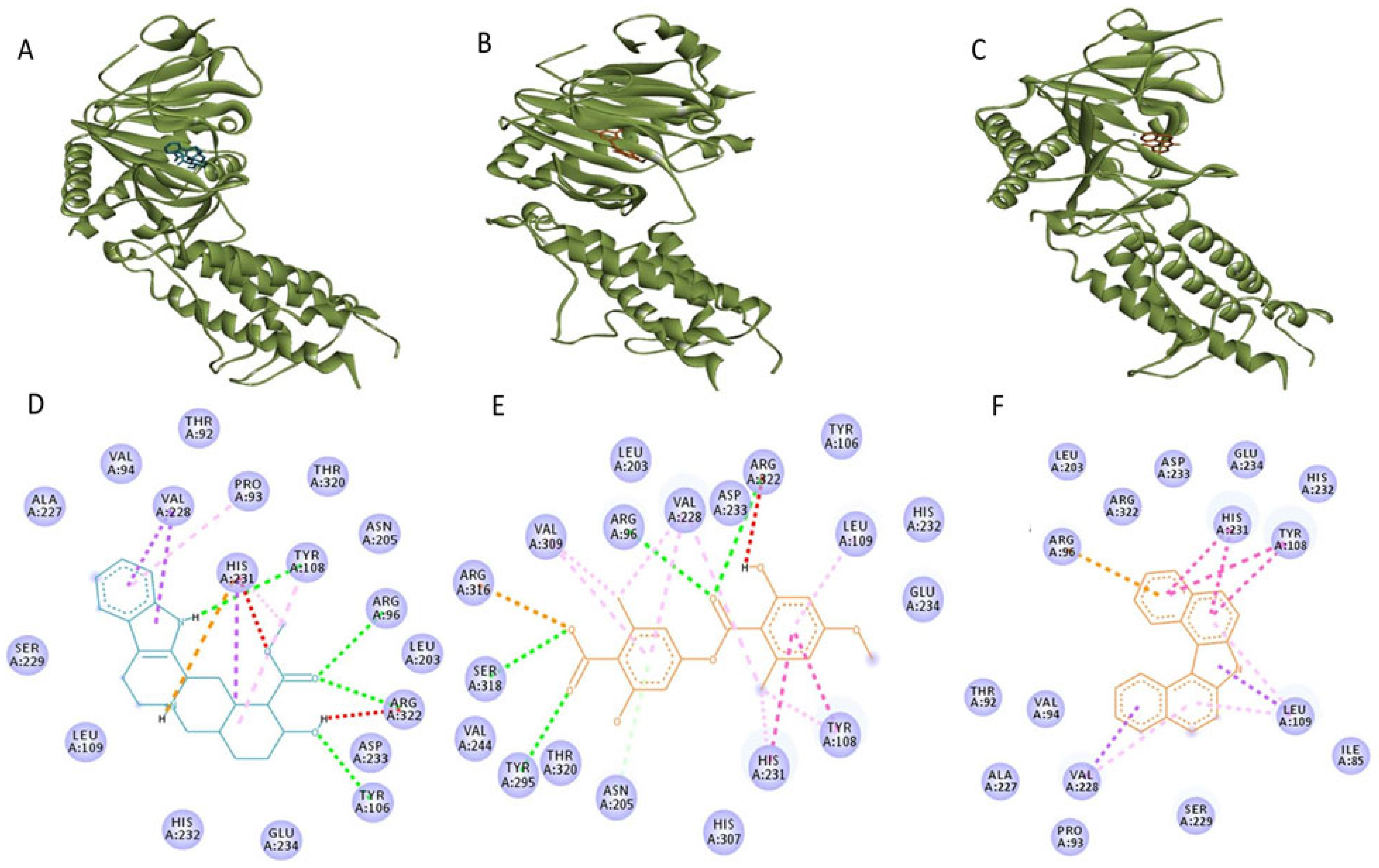 Biomedinformatics 04 00020 g001