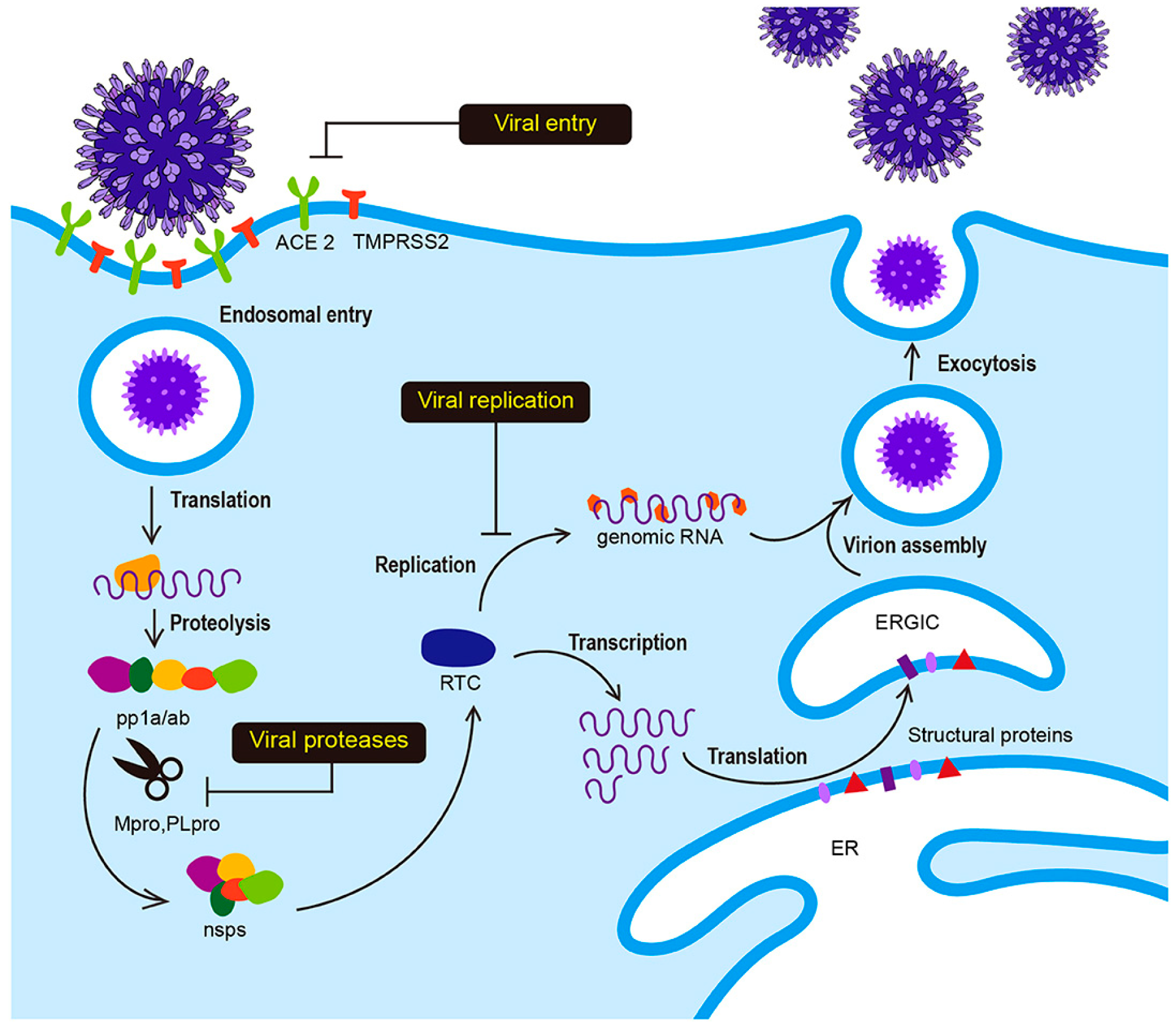 Biomedinformatics 04 00022 g001